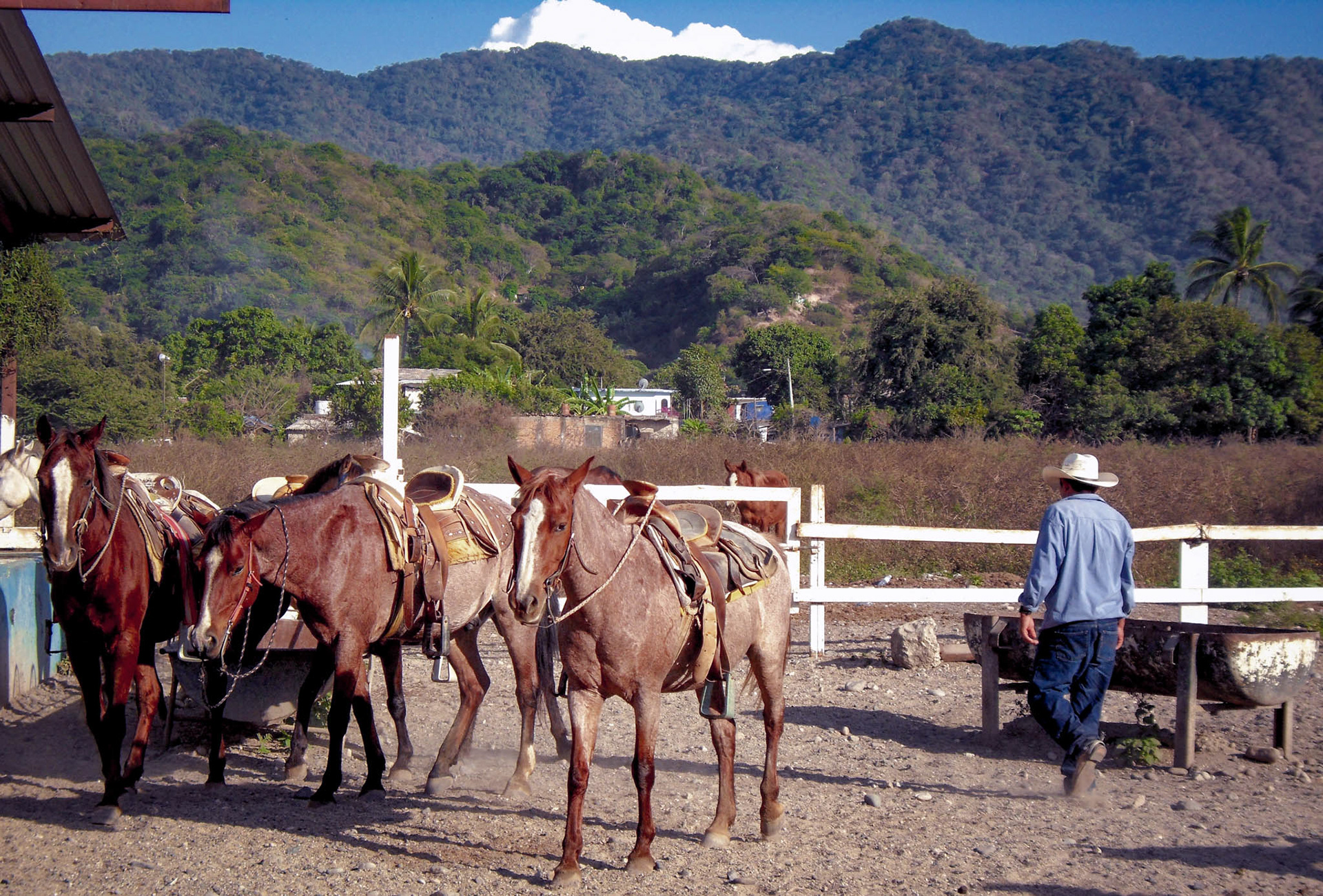 By Jessica van der Marel