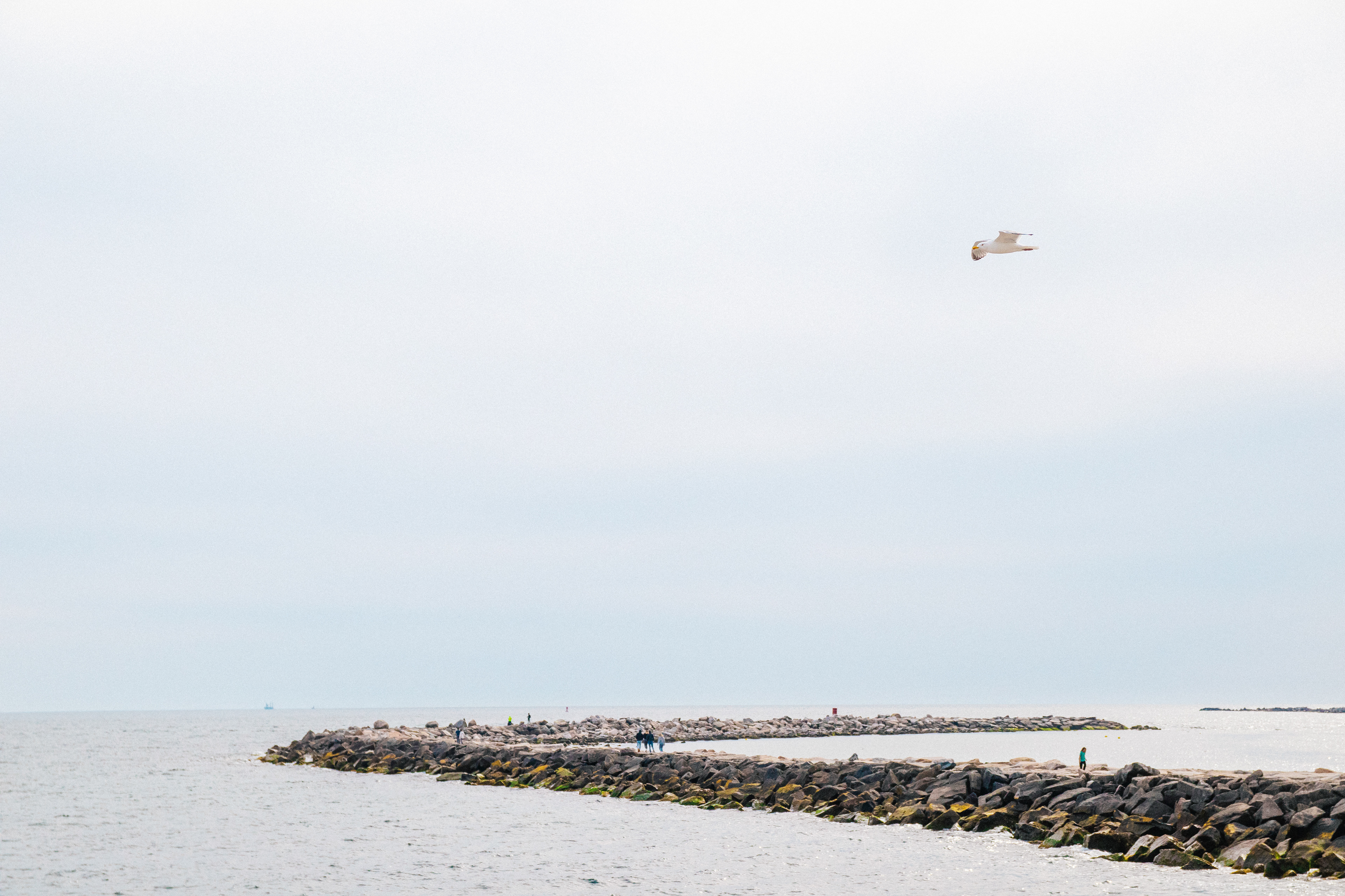 Photo by Jessica van der Marel