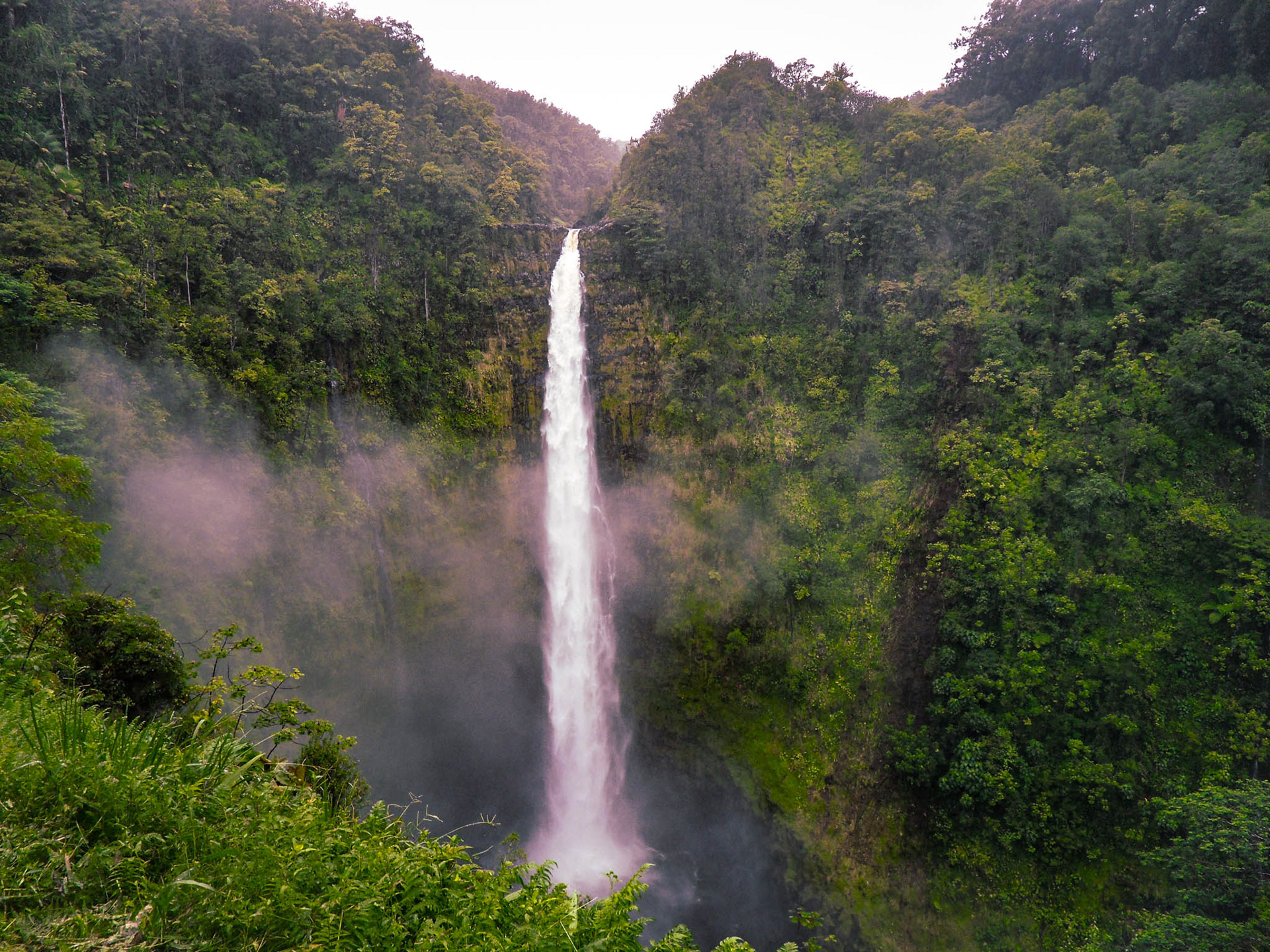 By Jessica van der Marel