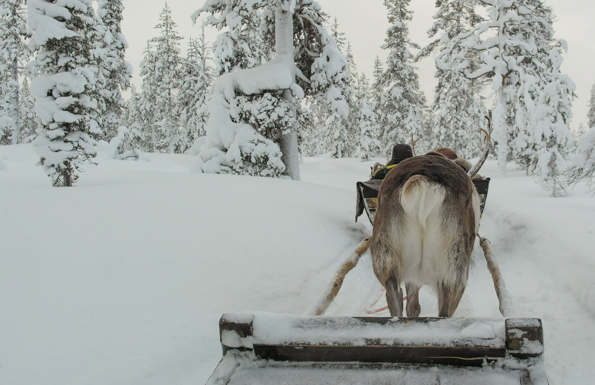 Photo by Jessica van der Marel