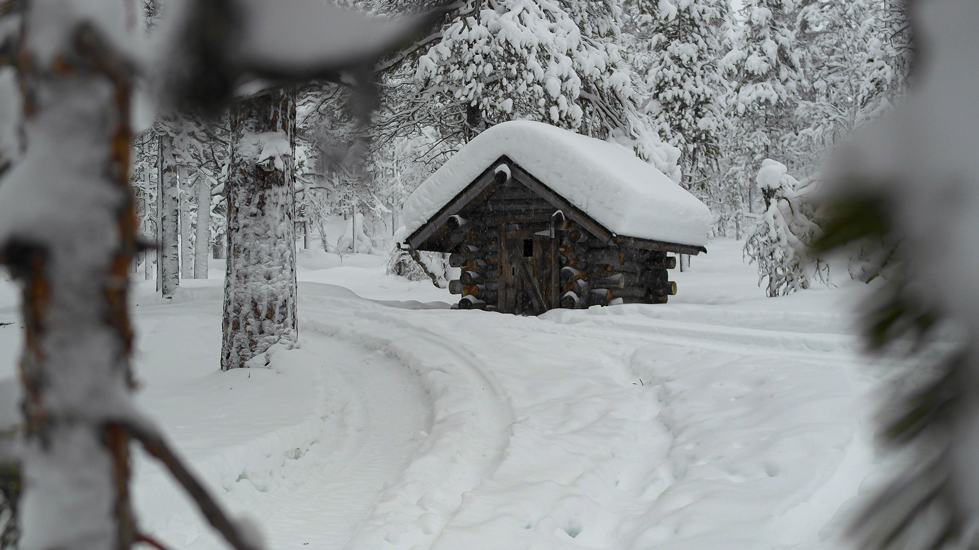 Photo by Jessica van der Marel