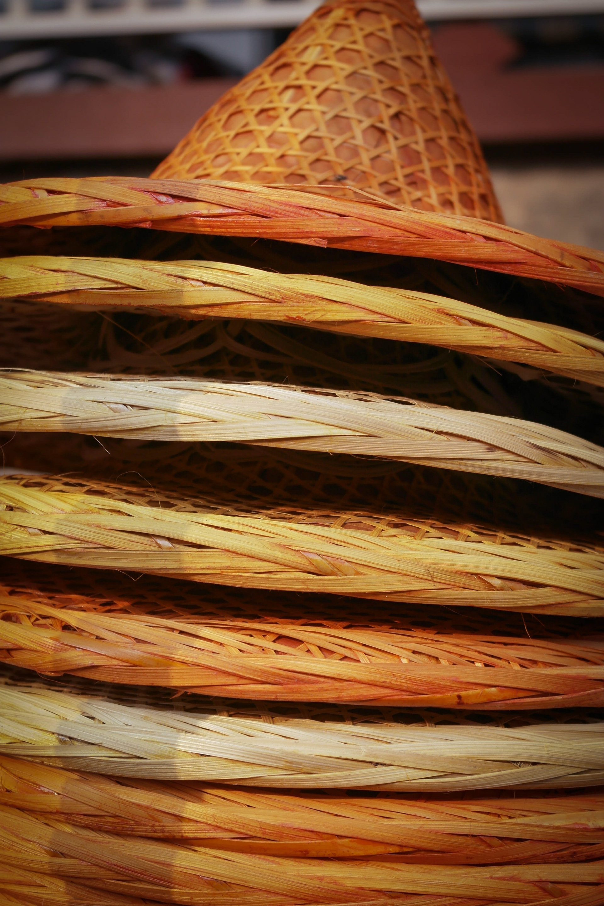 Photo by Jessica van der Marel