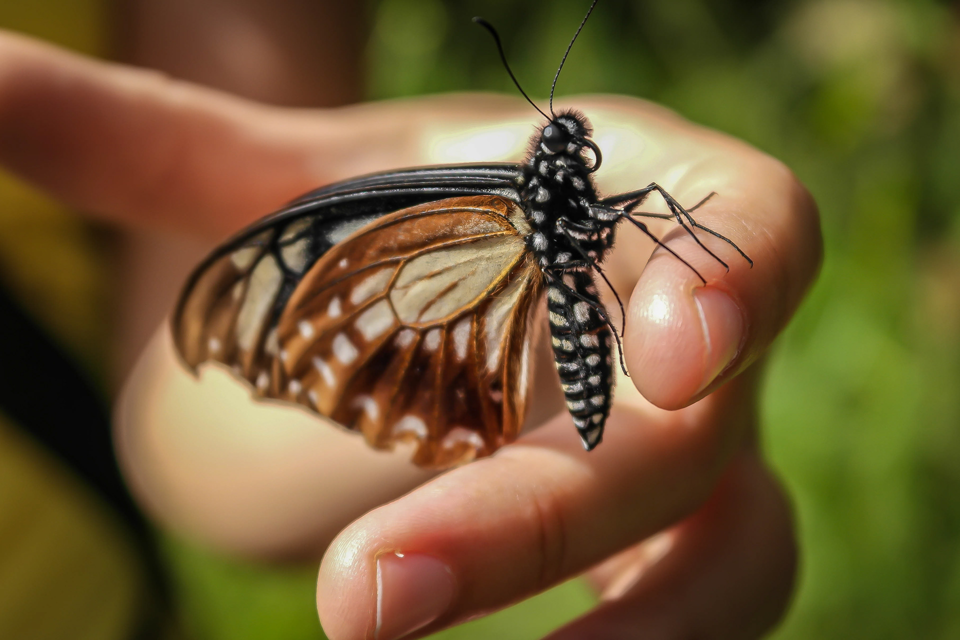 Photo by Jessica van der Marel