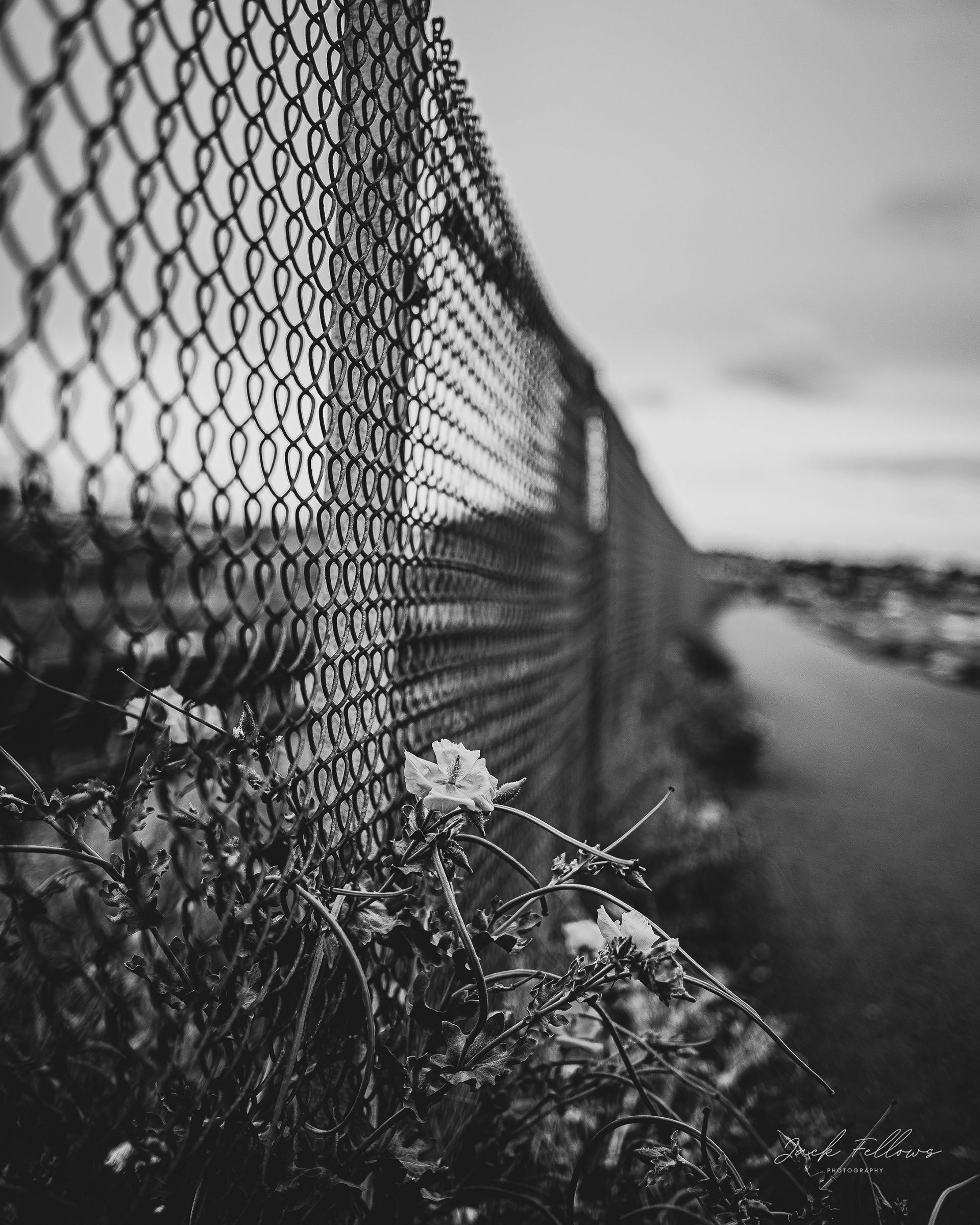 Seafront 1