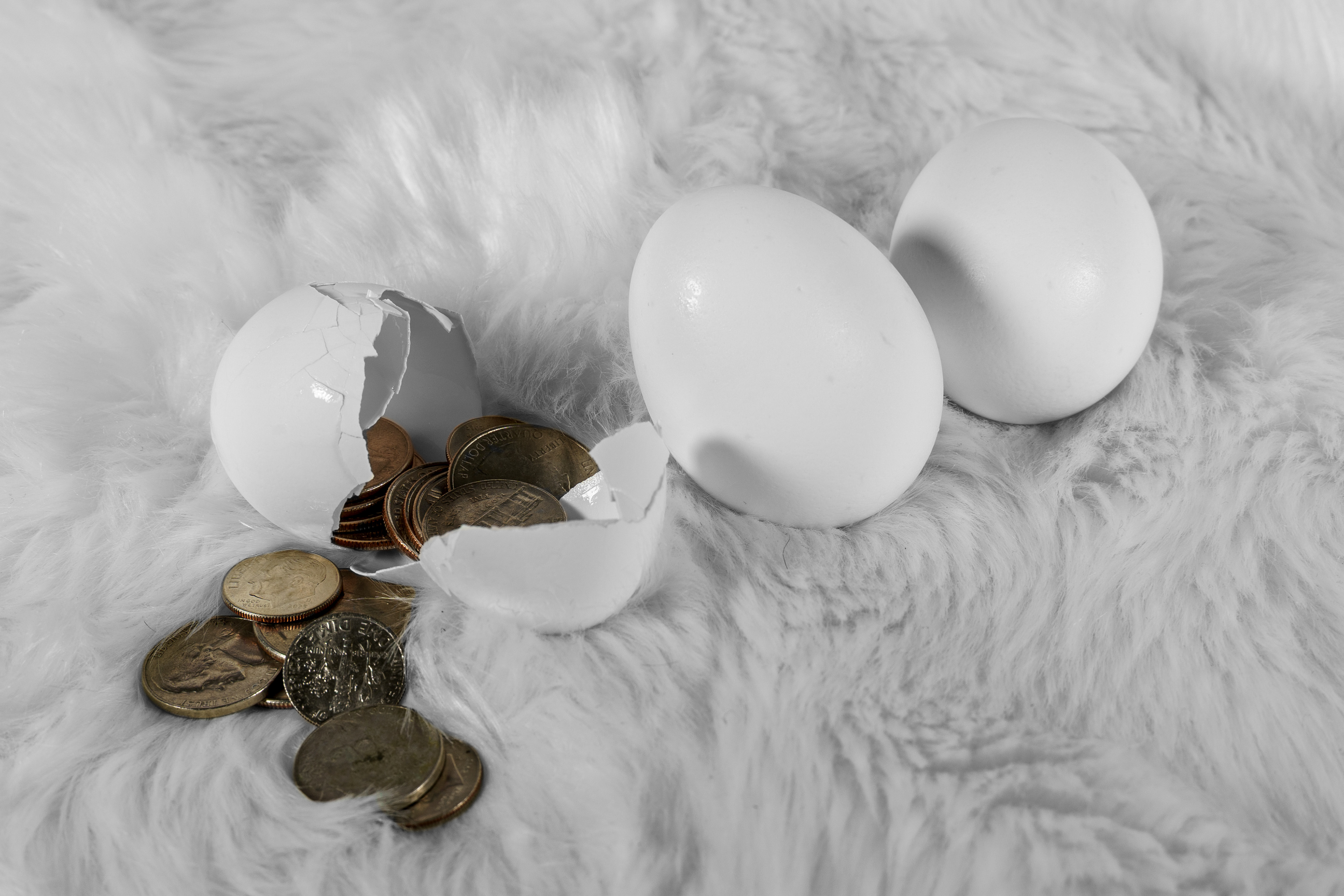 Cash for yolks