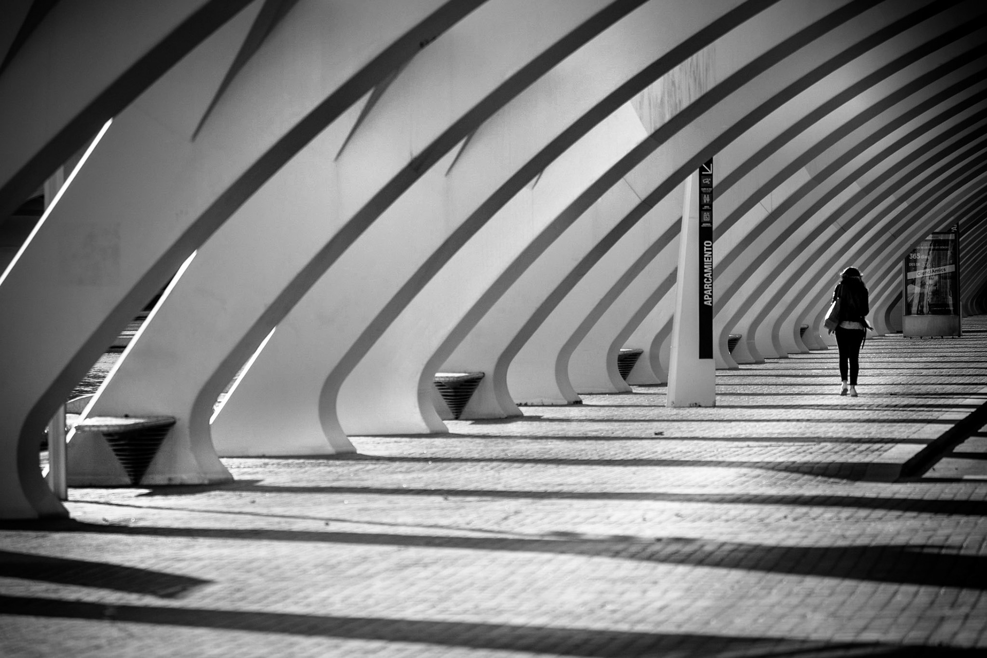 City of Arts and Sciences, Valencia, Spain