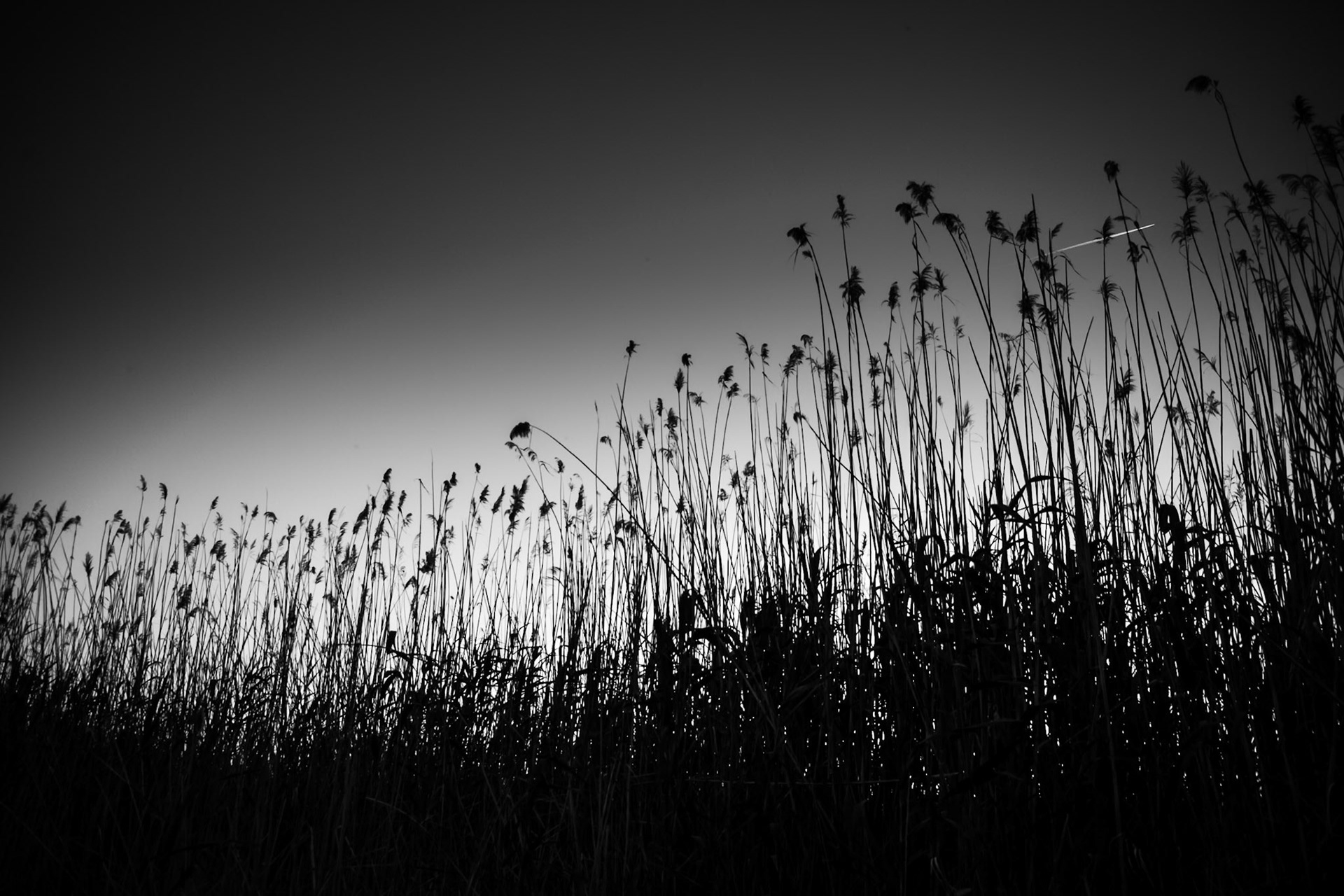 Albufera, Valencia, Spain