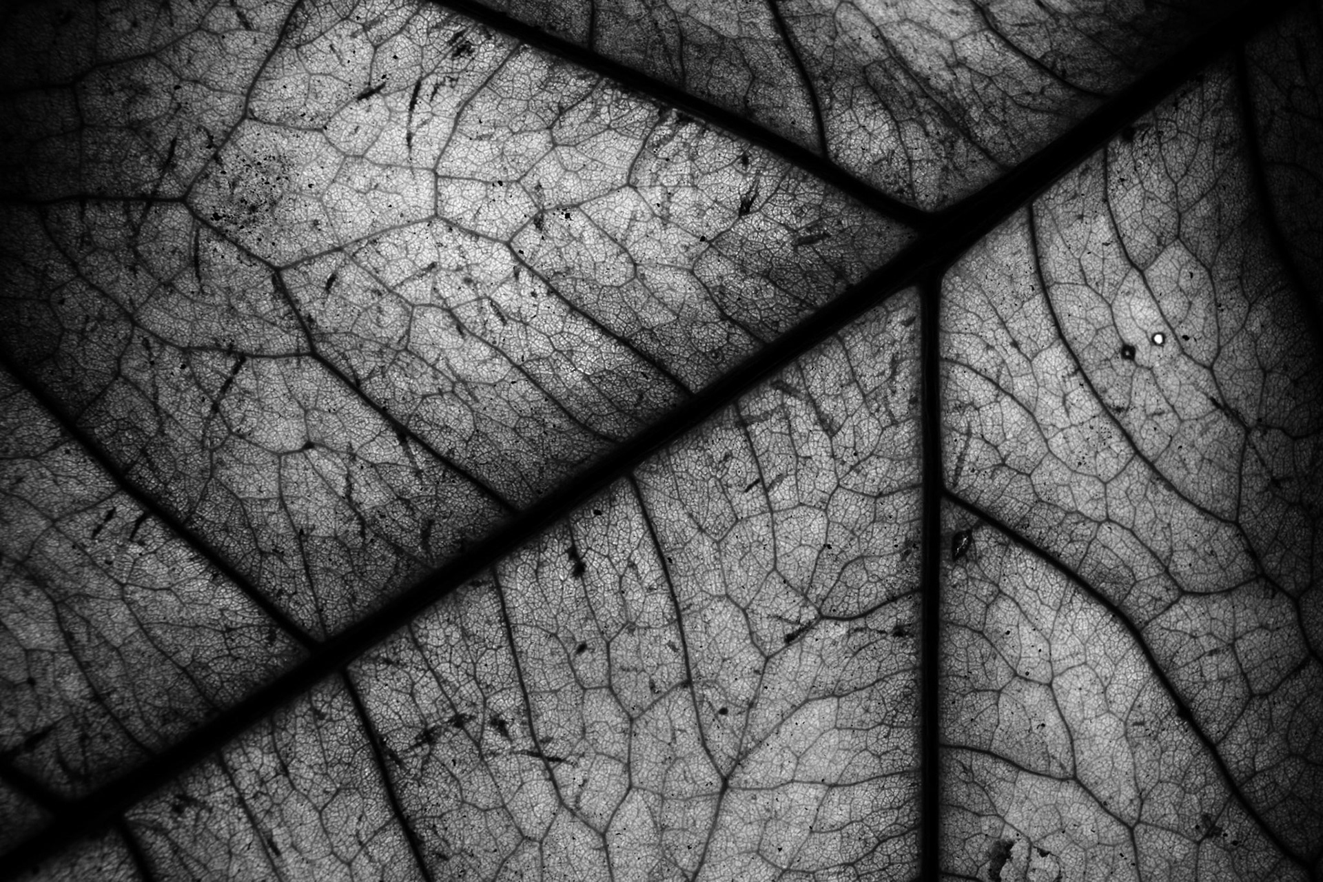 Macro Textures
