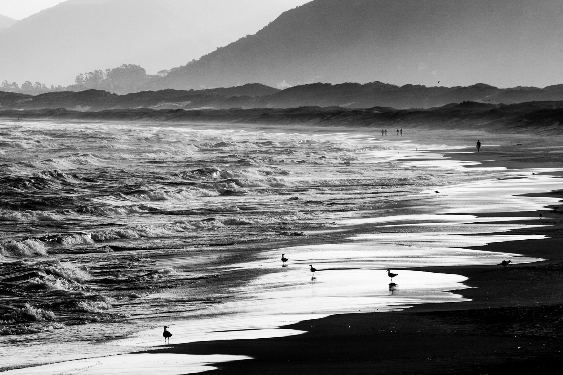 Joaquina Beach, Florianopolis, Brazil