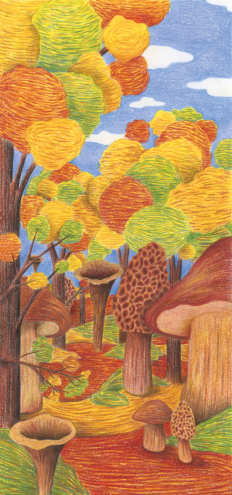 Fungus / A3 sur papier Fine Art 200g / 40€