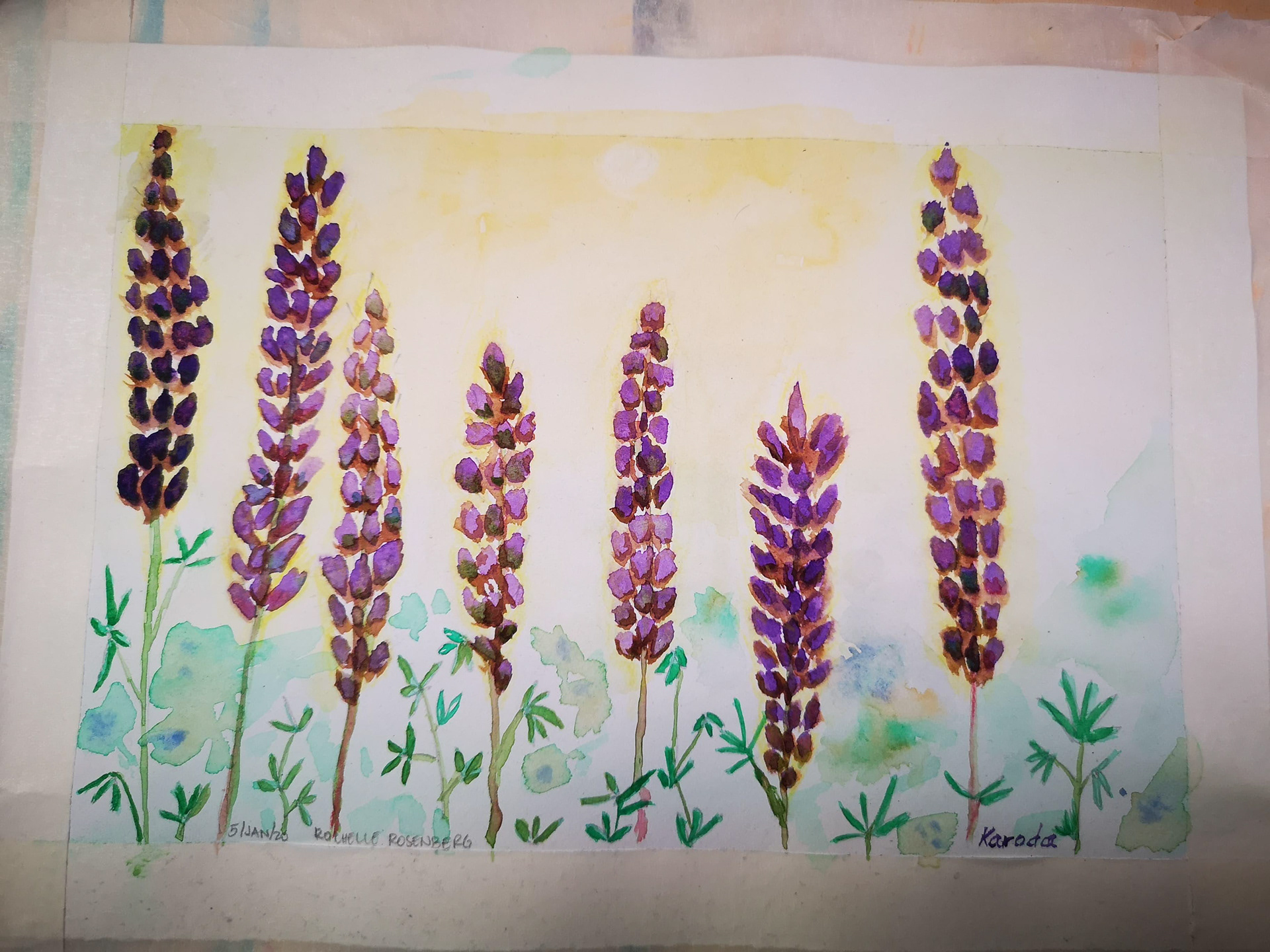 Lupines