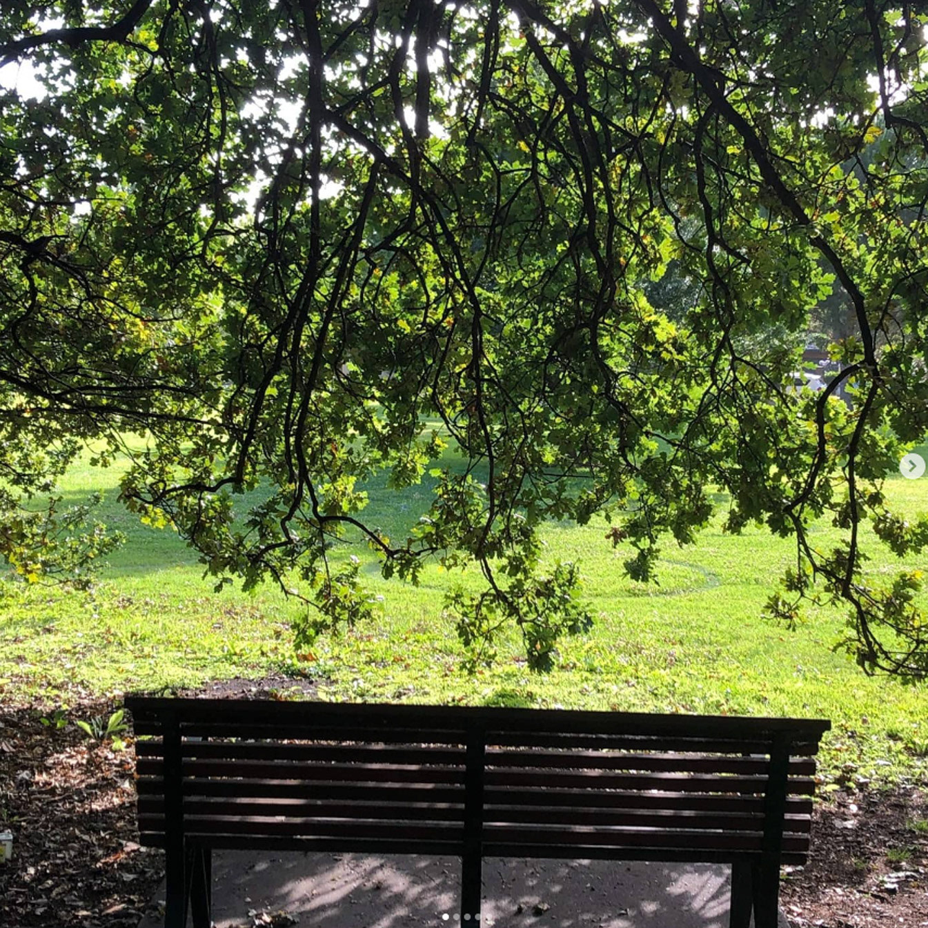 Malvern Public Park, Australia