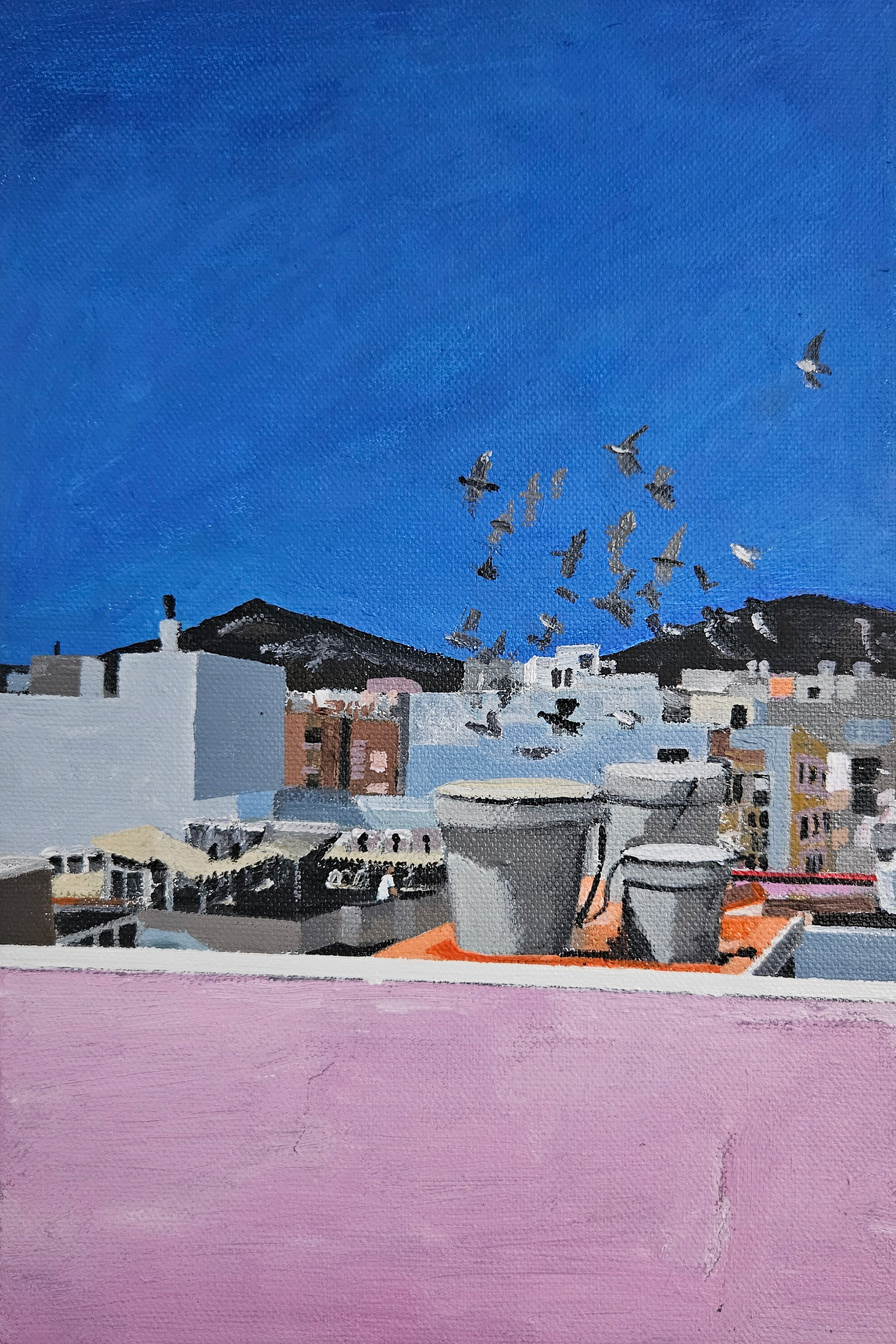 Palomas