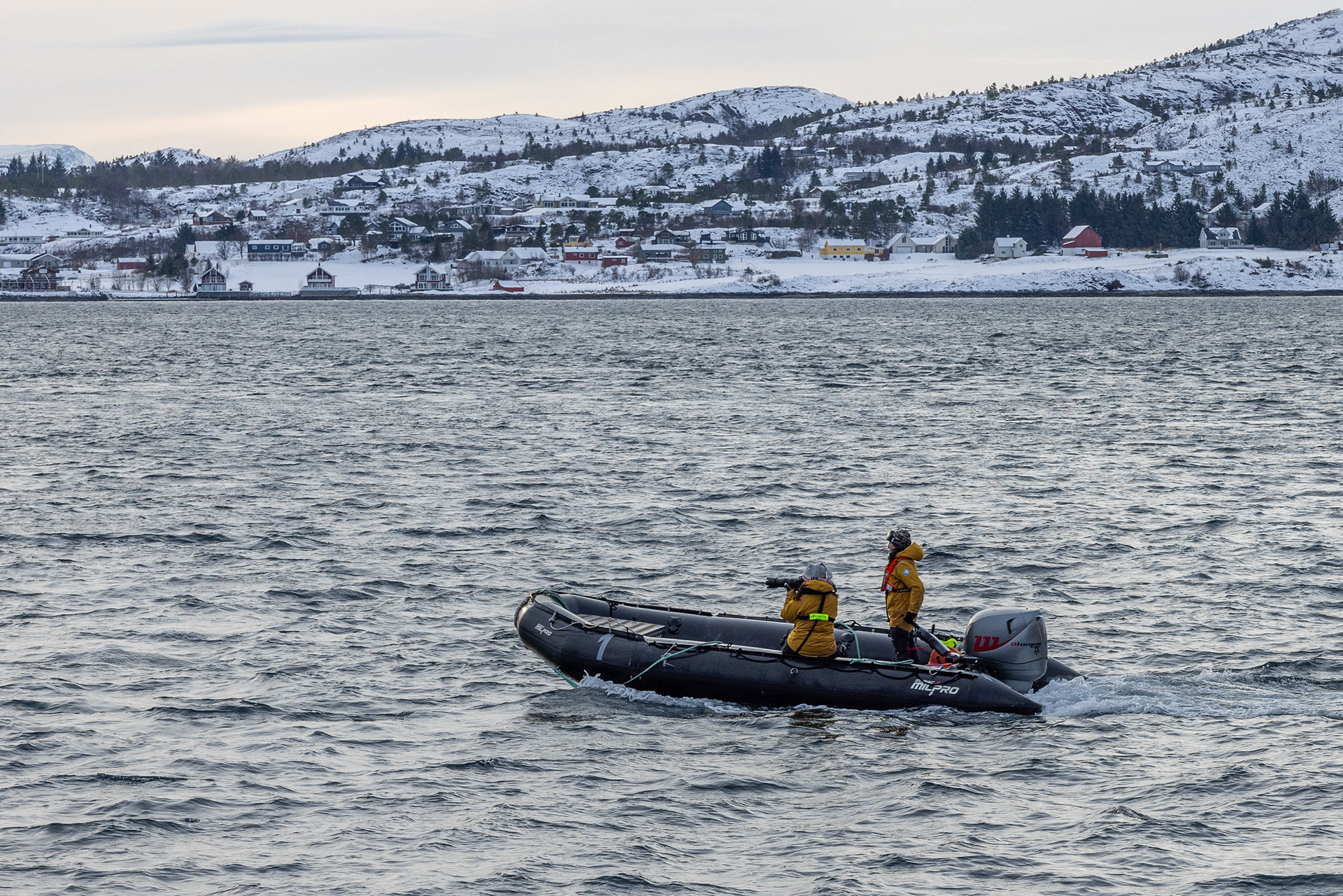 Fotografe Geraldine in actie