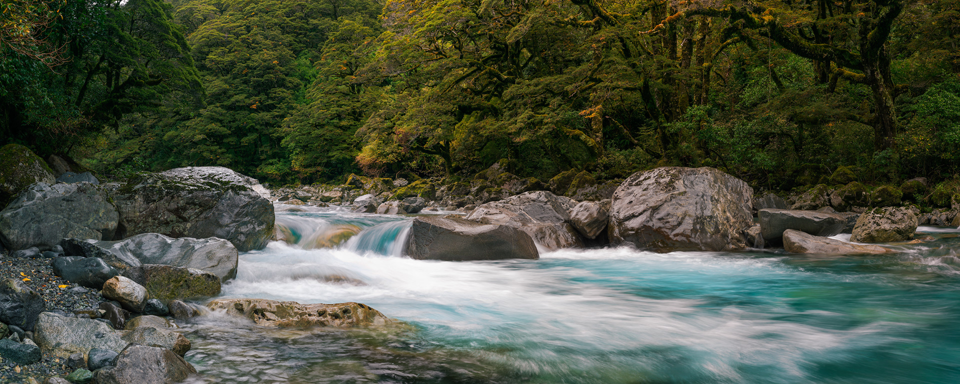 HOLLYFORD STREAM