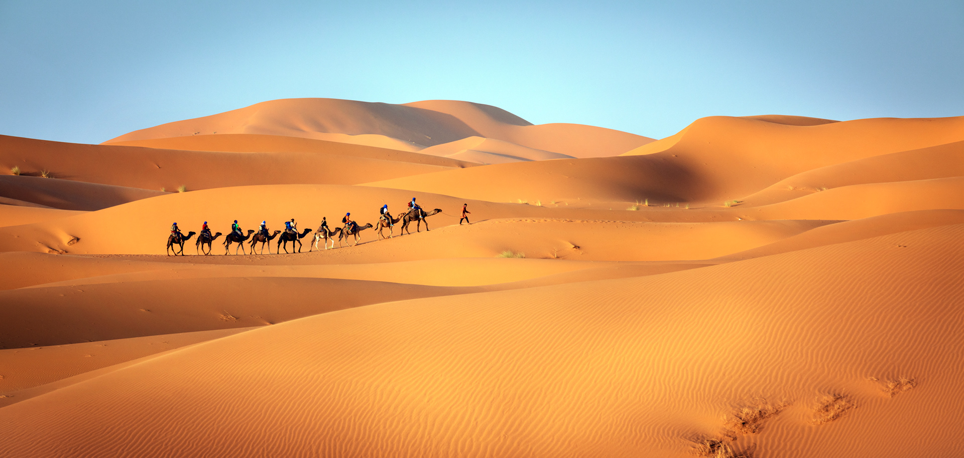 DESERT ODYSSEY