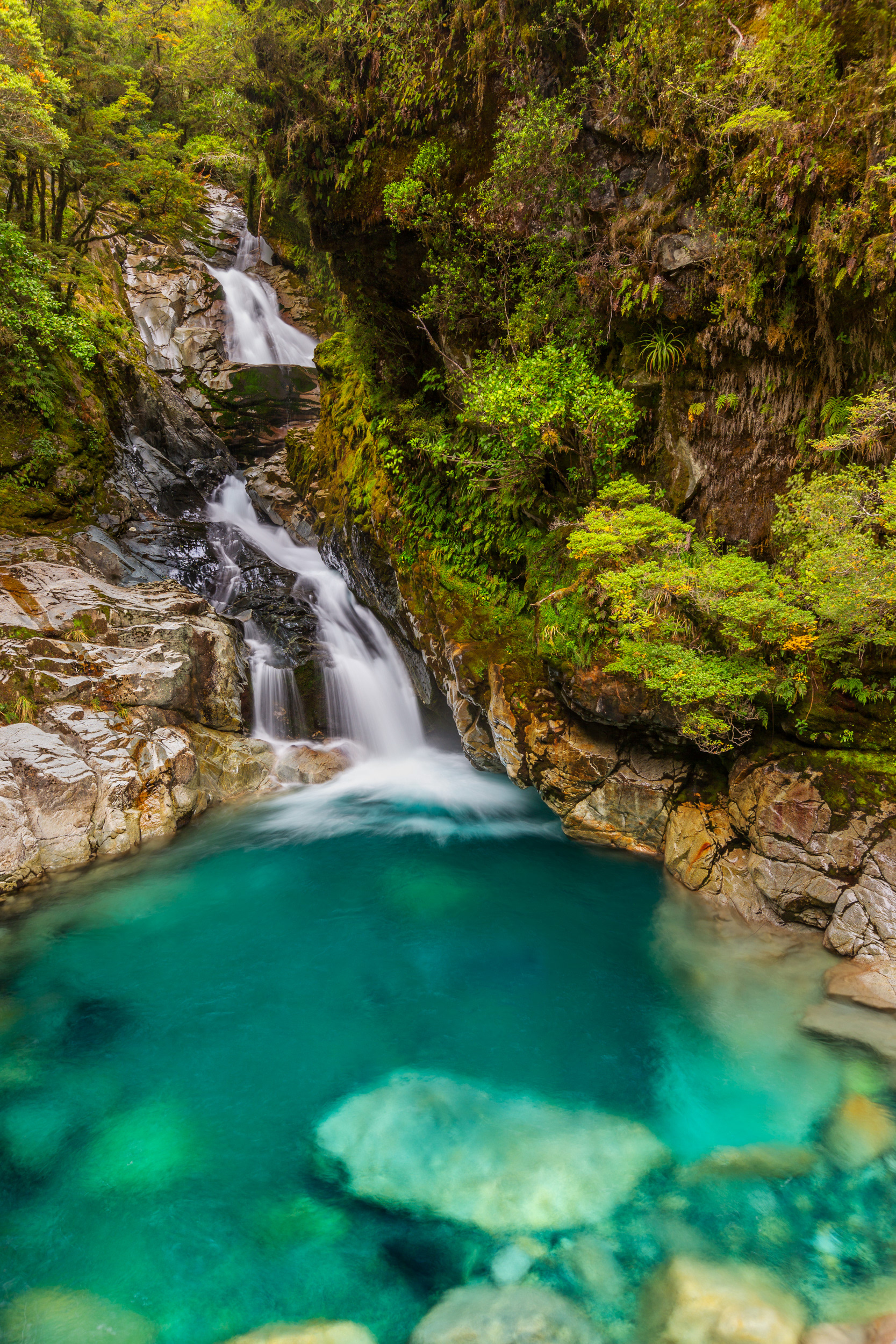 FIORDLAND FALLS