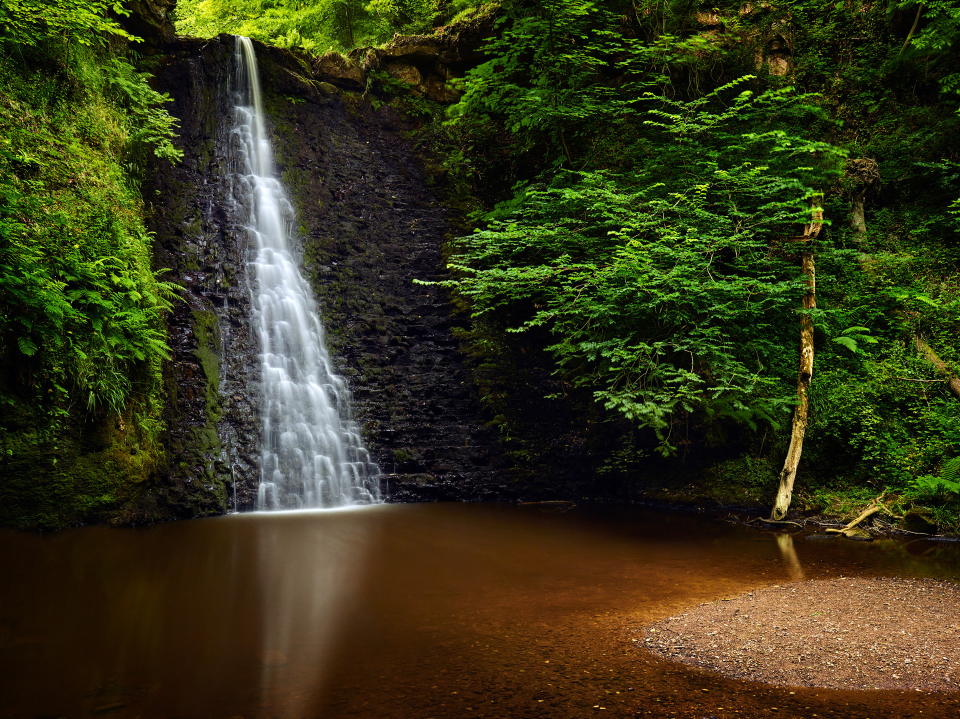 FALLING FOSS