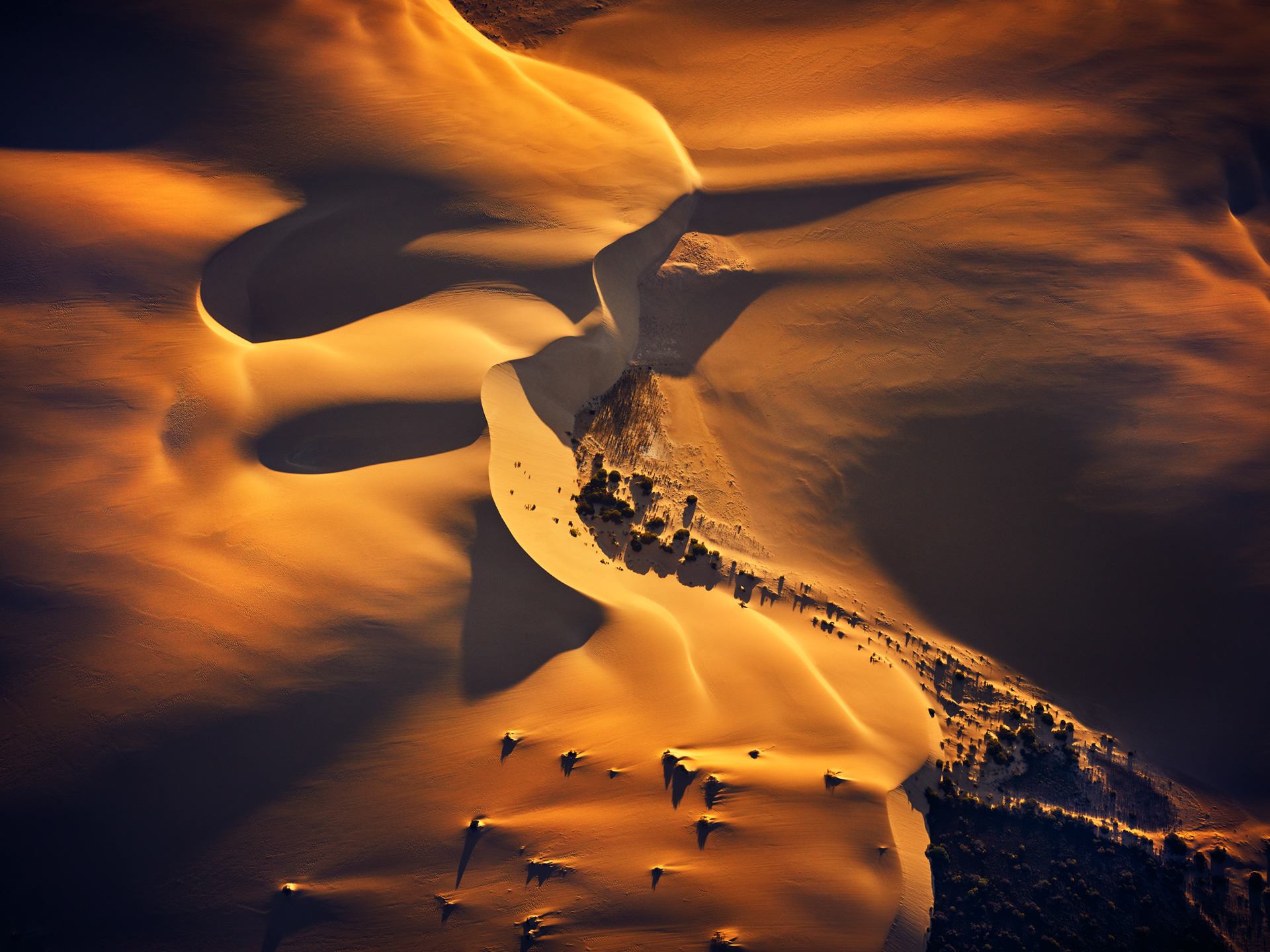 GOLD RUSH