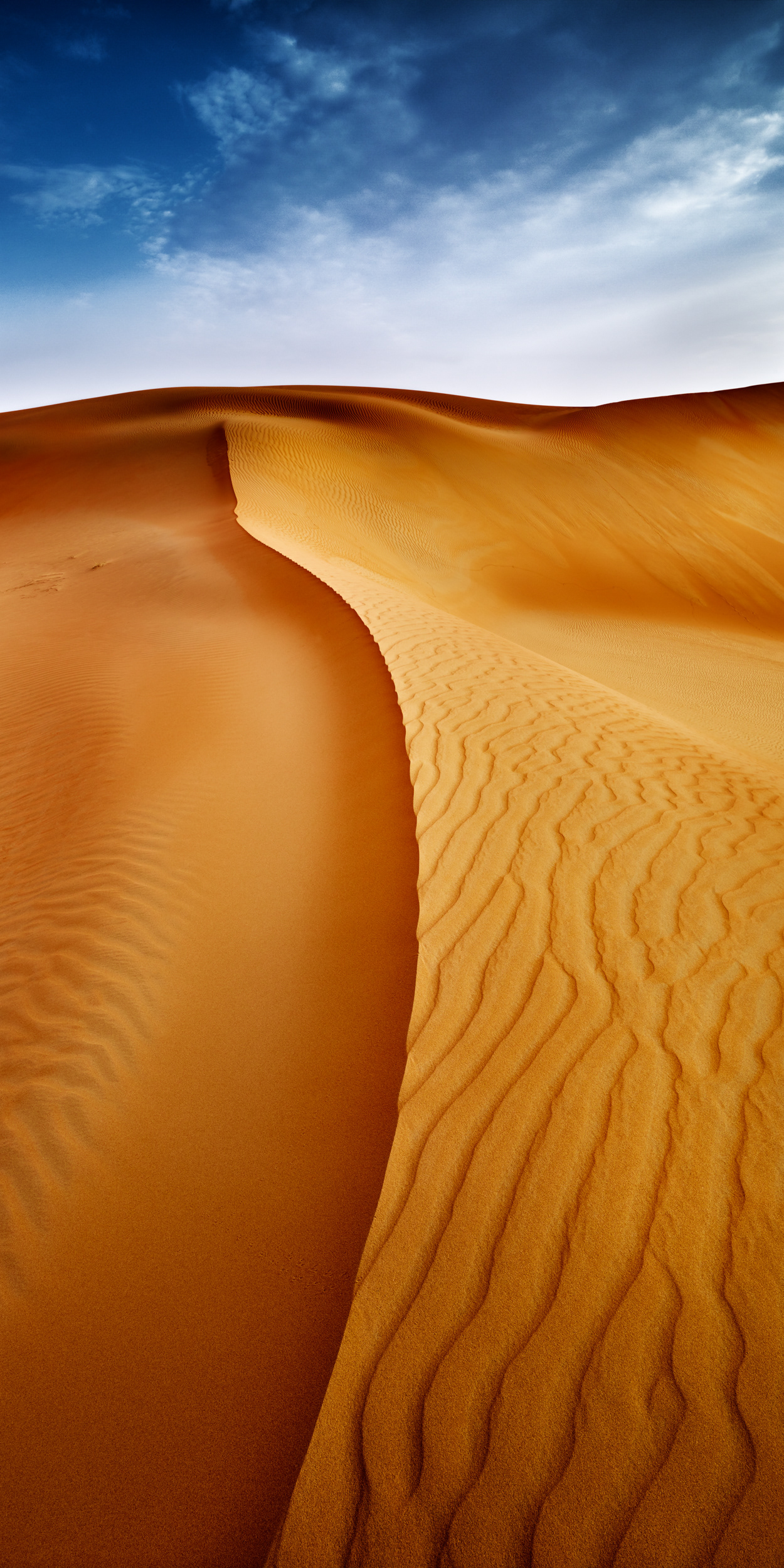 THE PAINTED DUNE