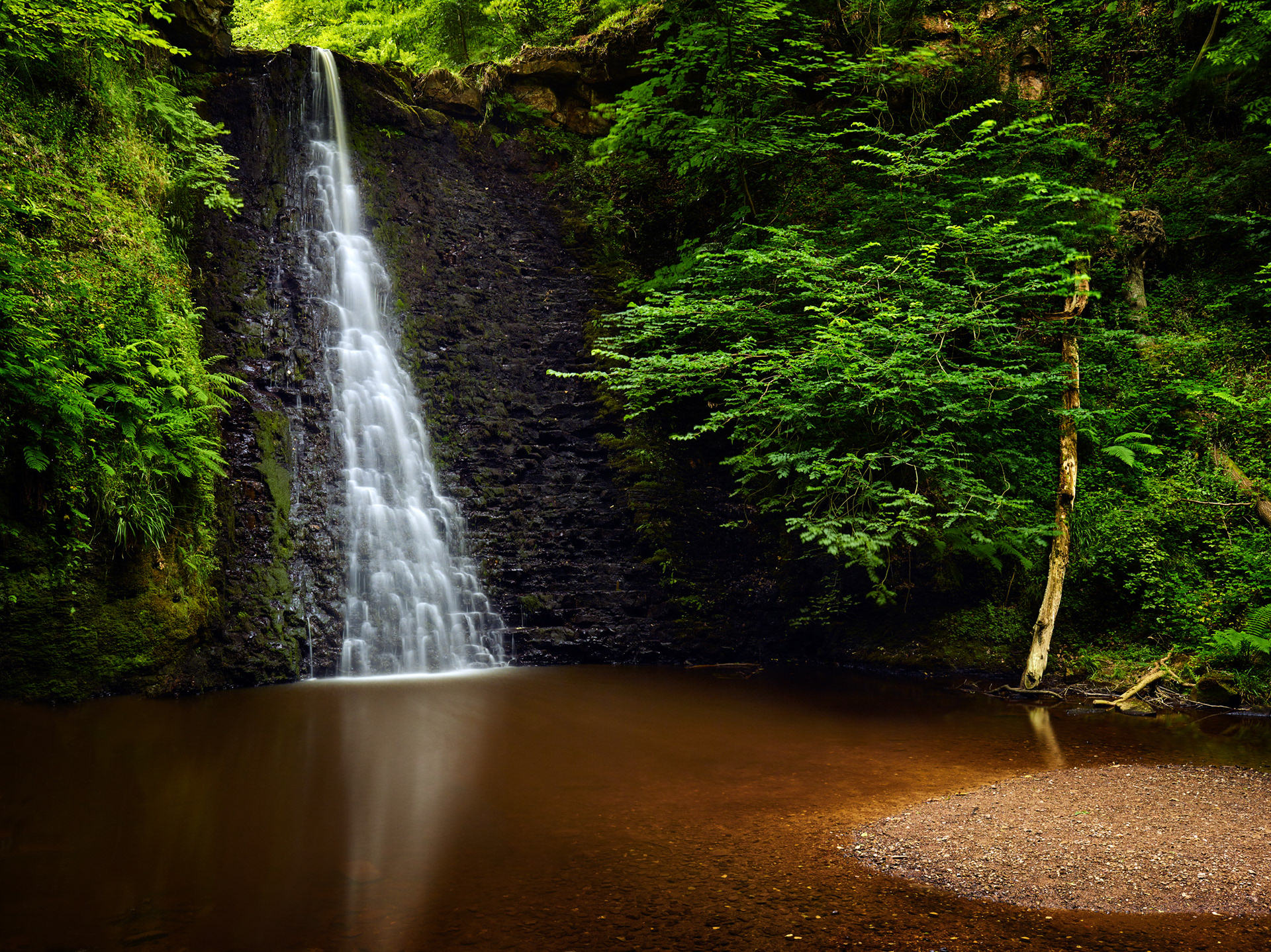 FALLING FOSS