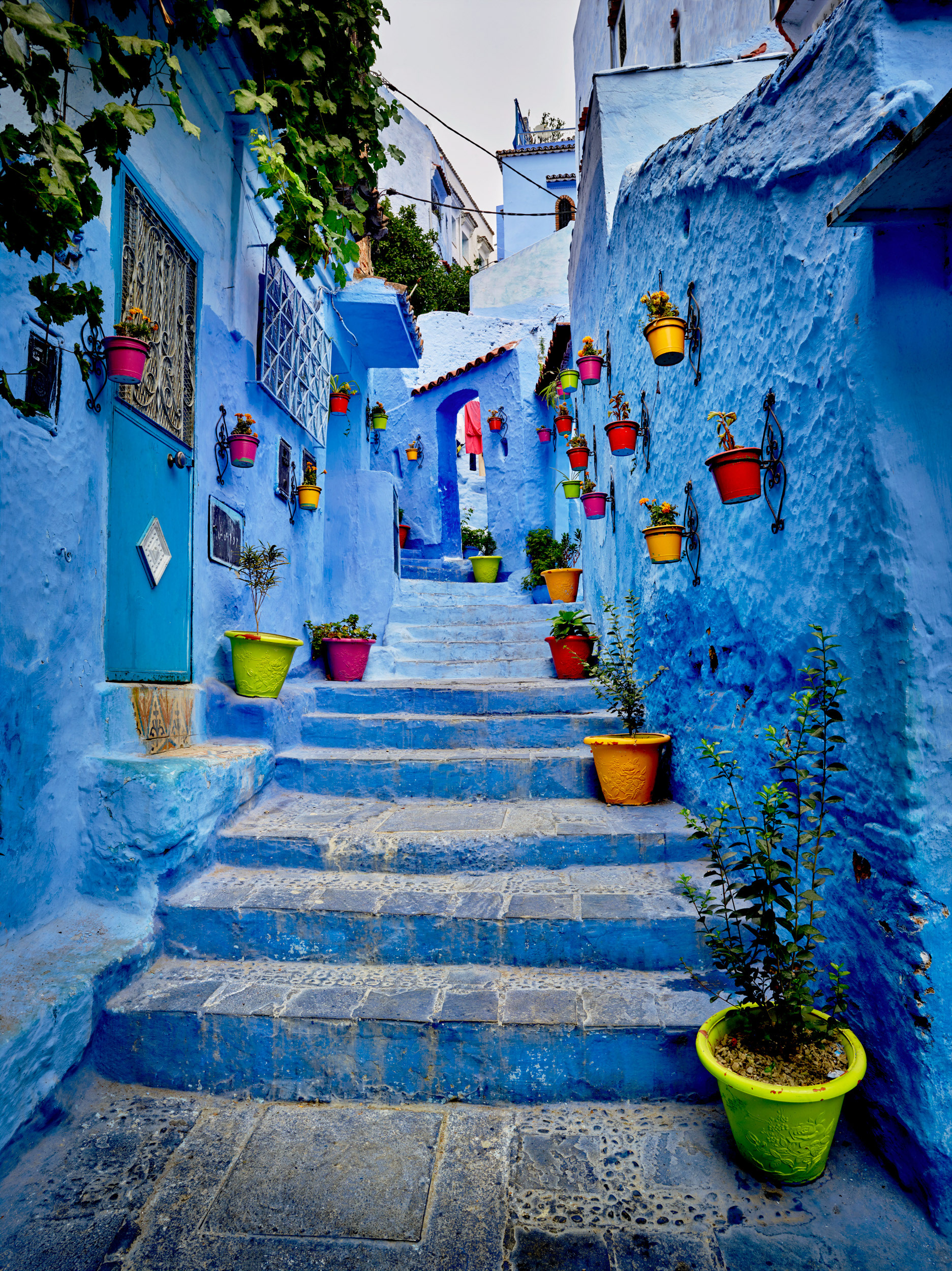 CERULEAN STEPS