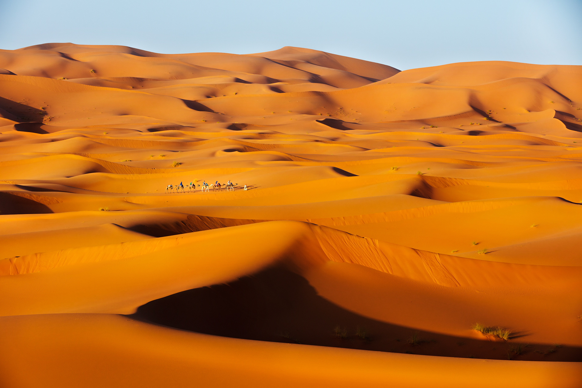 CARAVAN