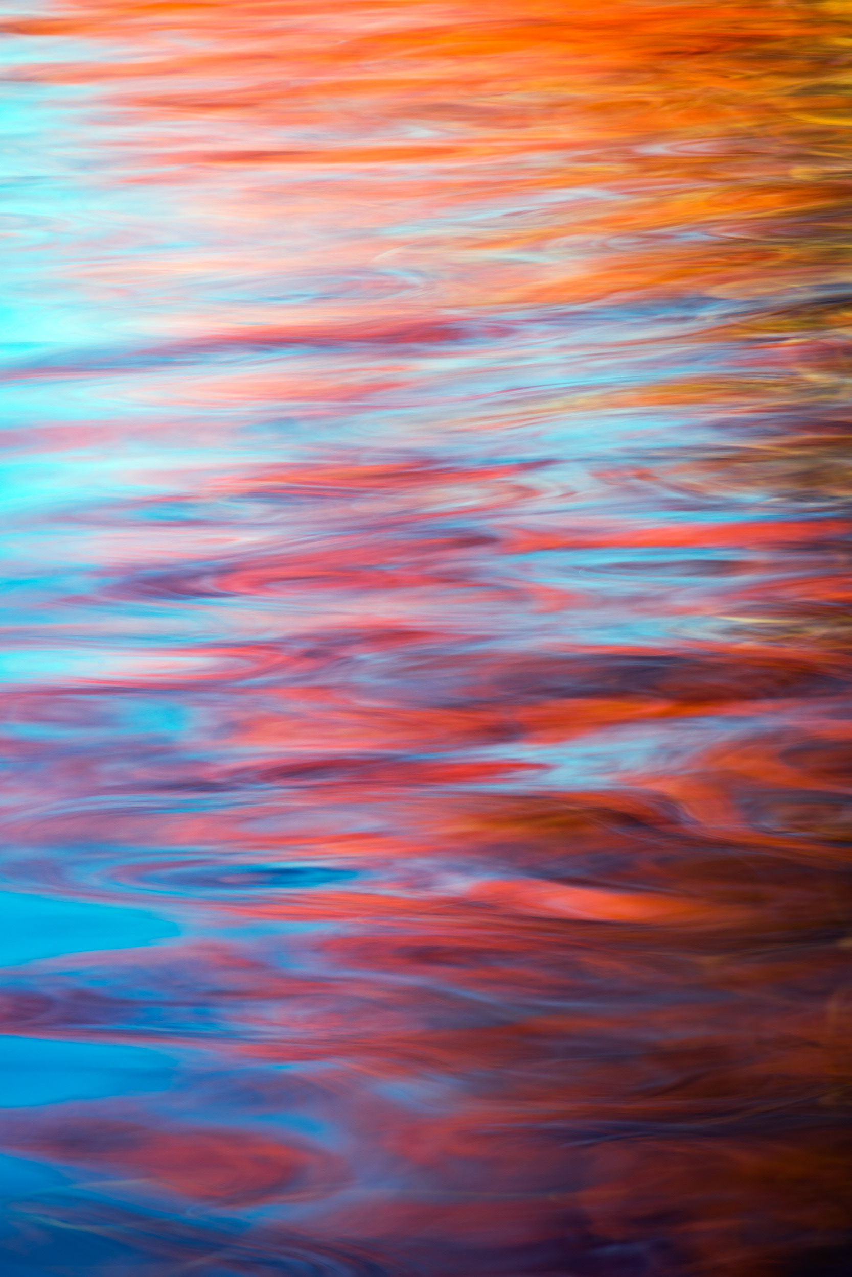 LIQUID AMBER