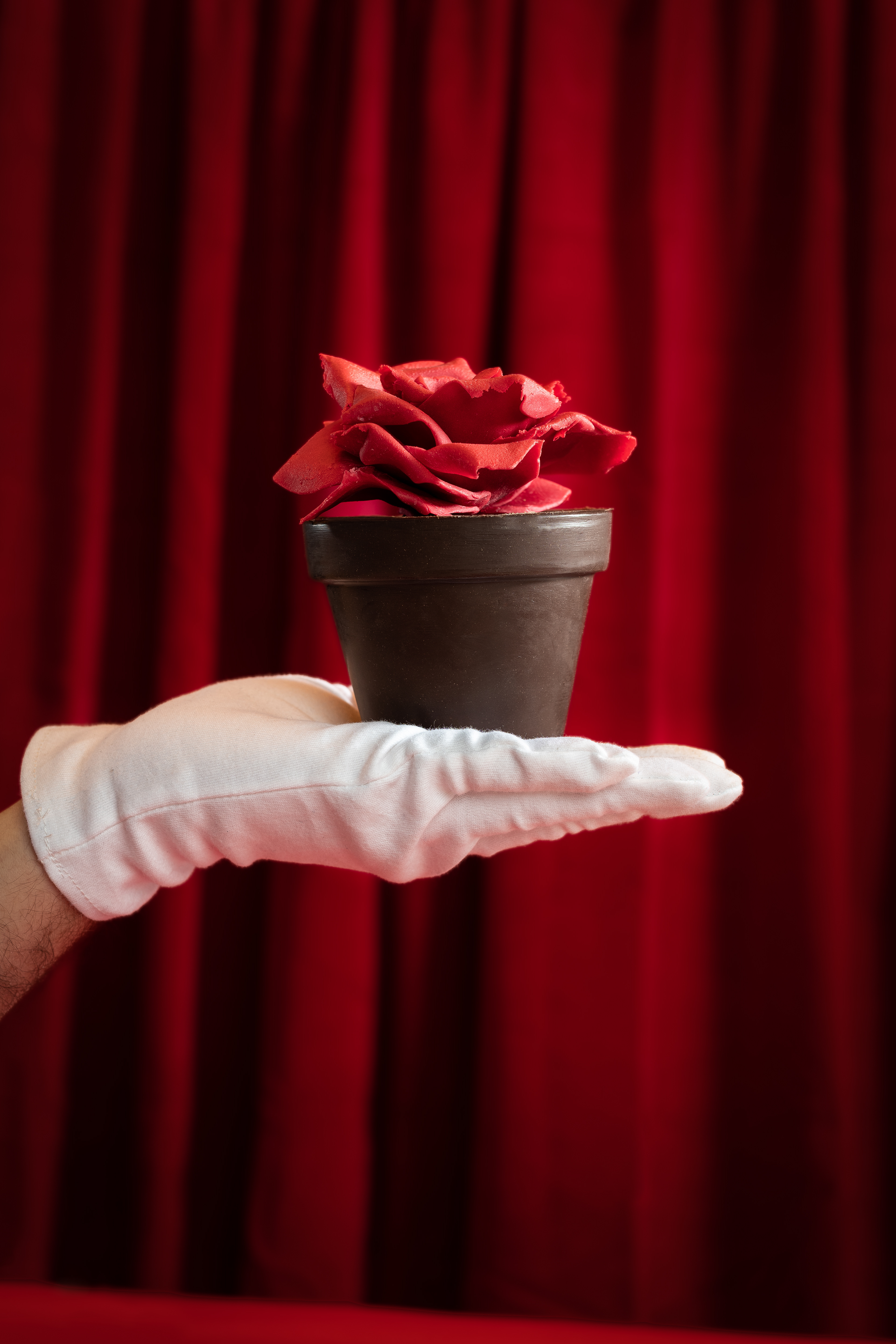 Rose en chocolat - Photographie Culinaire - Mise en scène produit - Le Refuge des Gourmands - Février 2022