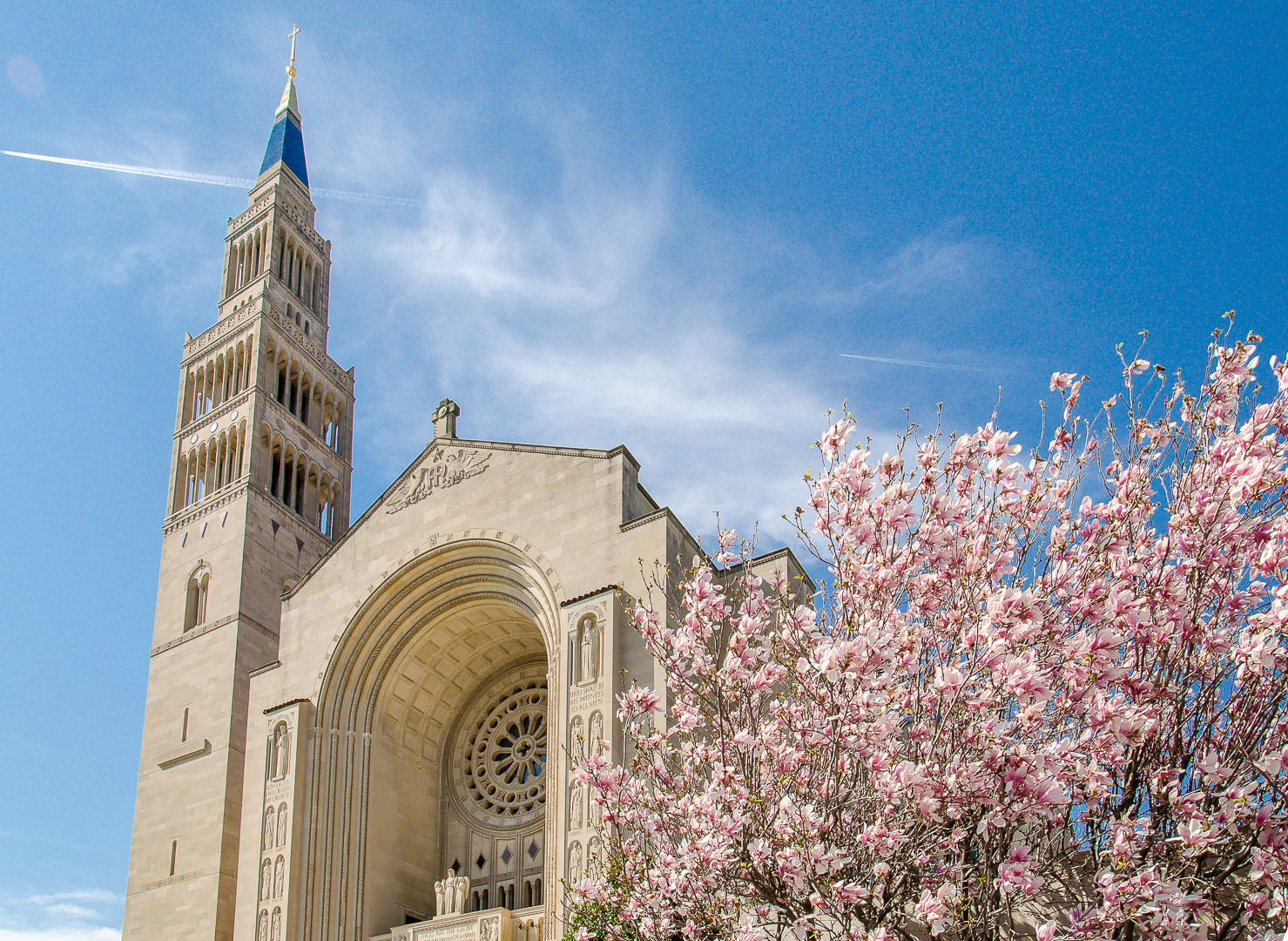 Cherry Blossoms at the Washington National Cathedral Photograph by