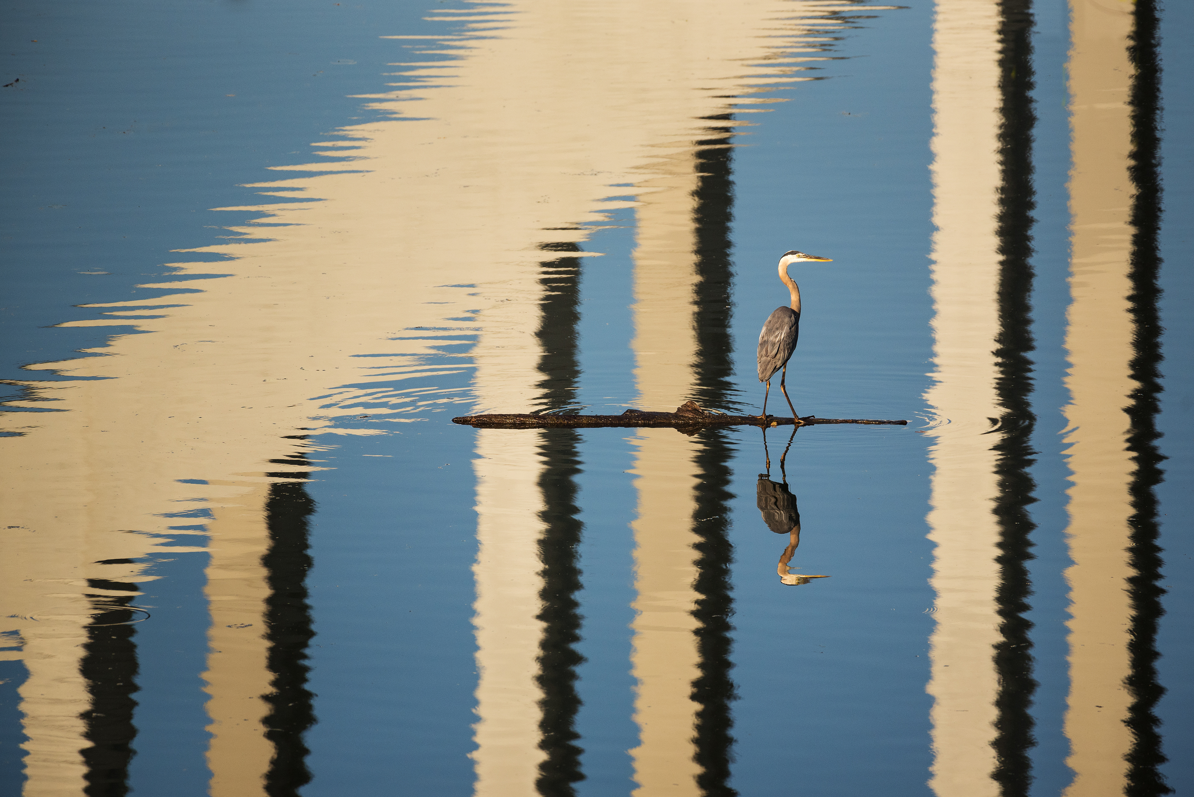Early Morning on the Tennessee River, Volunteer Landing, Knoxville, TN.