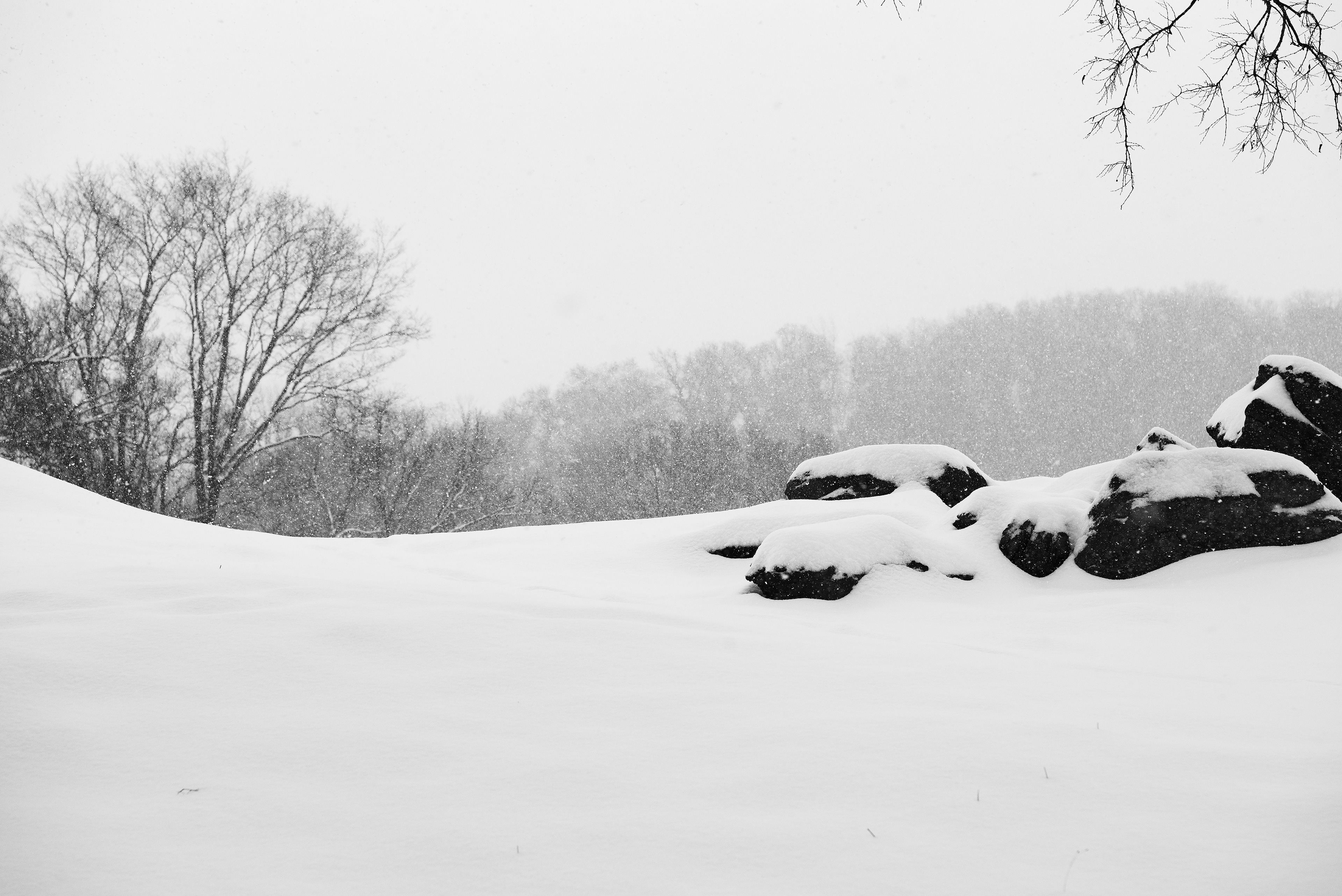 Winter on Old Sevier.