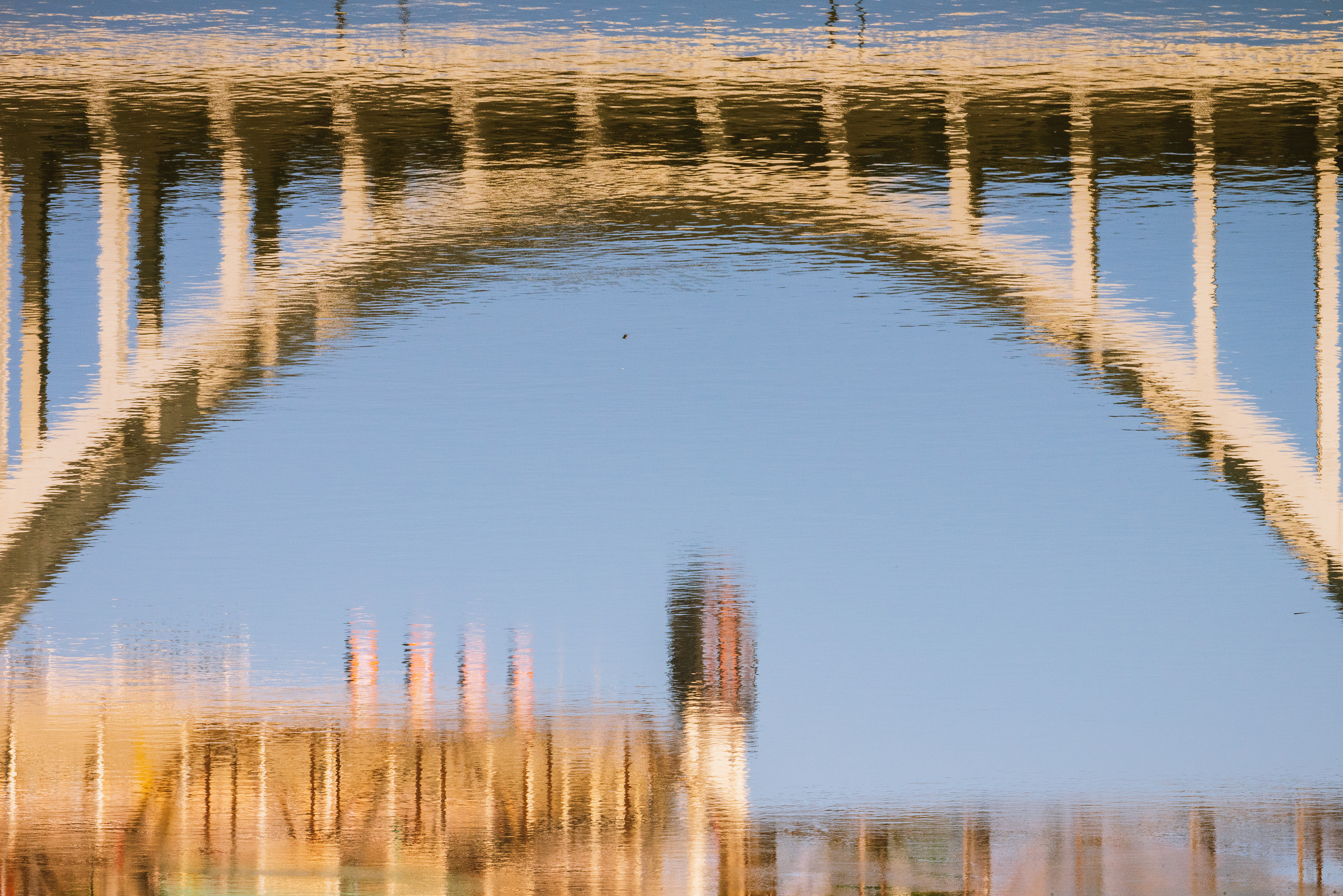 The Henley Bridge, Reflected in the Tennessee River