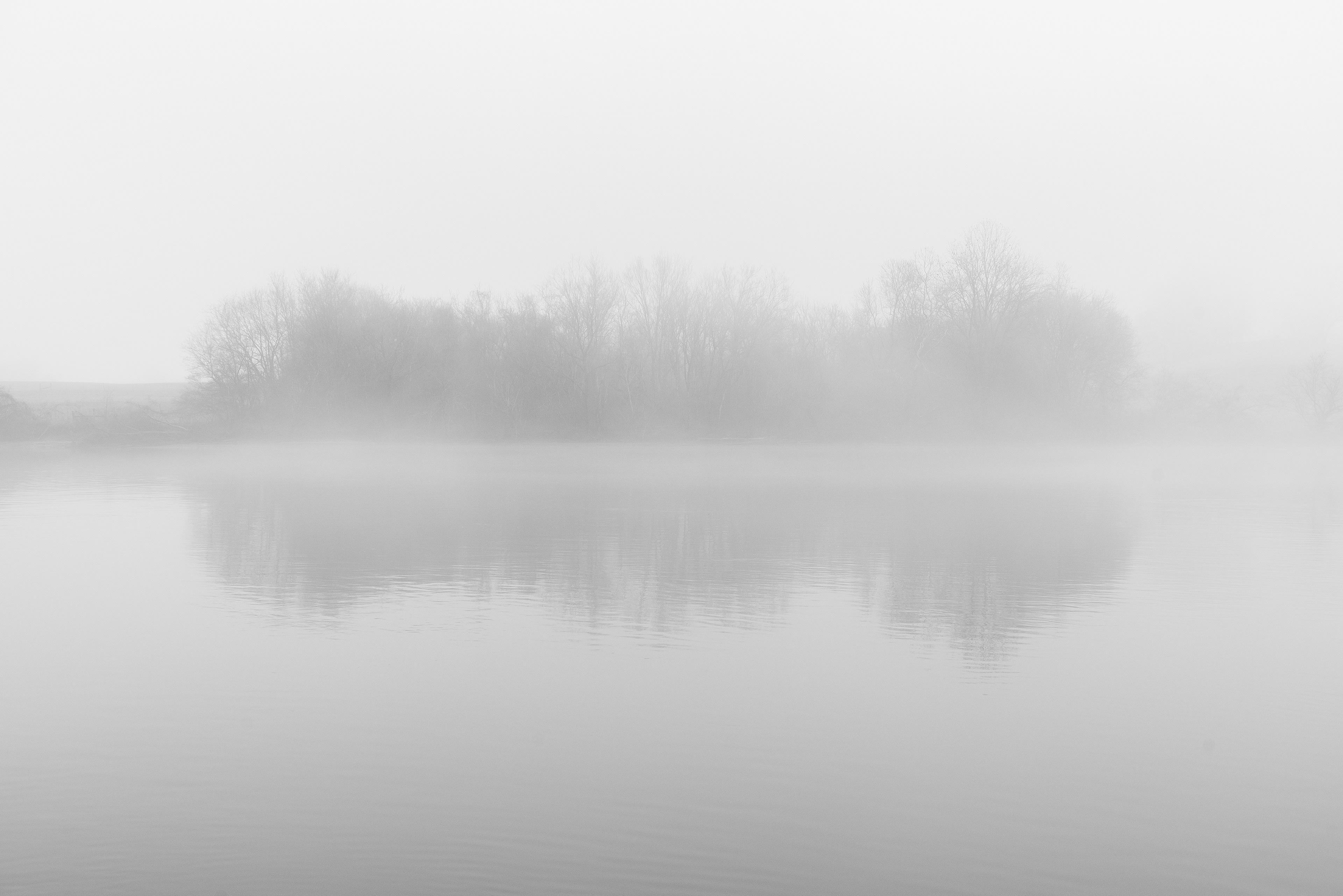 Foggy Morning on the Tennessee River.