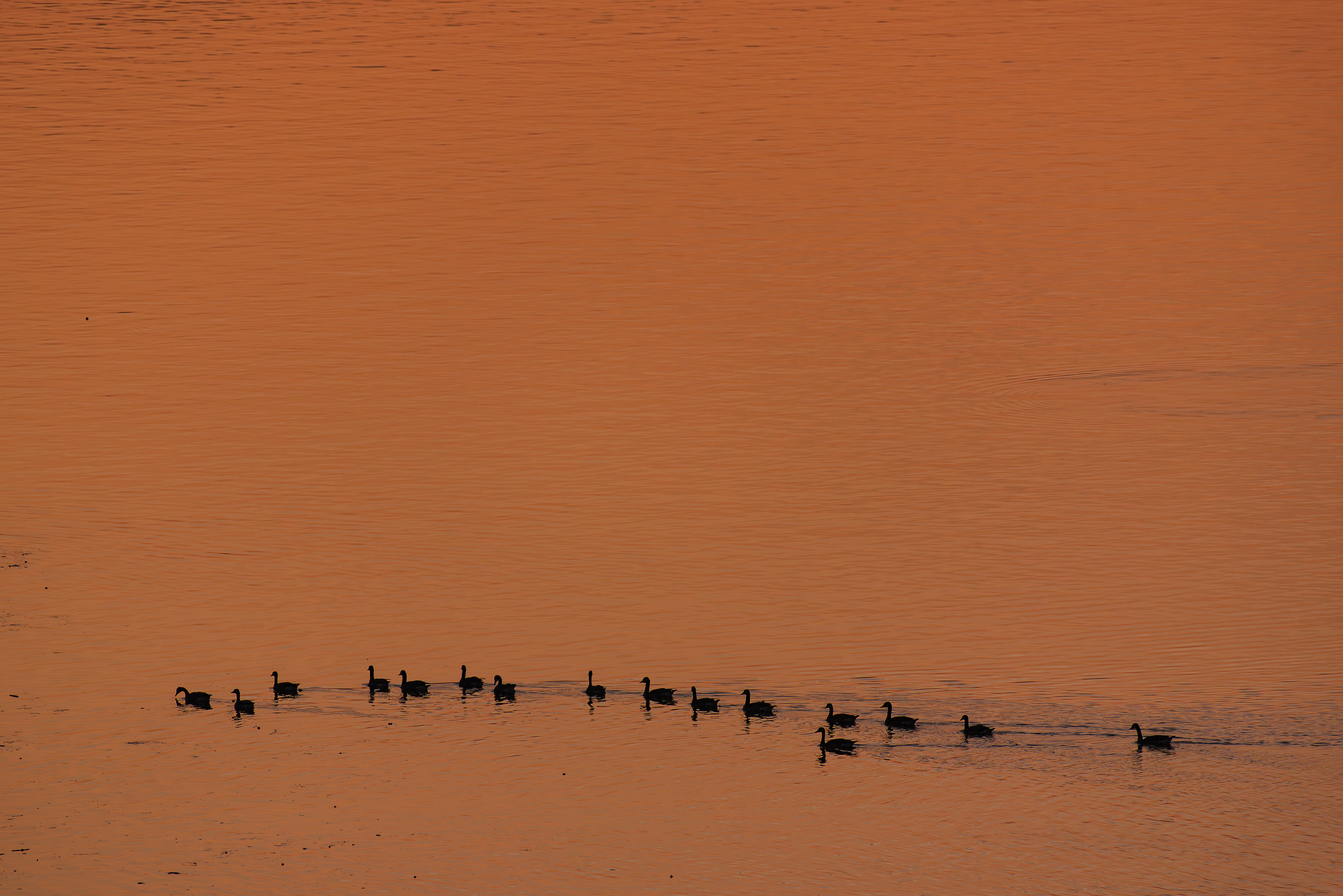 Sunrise on the Tennessee River.