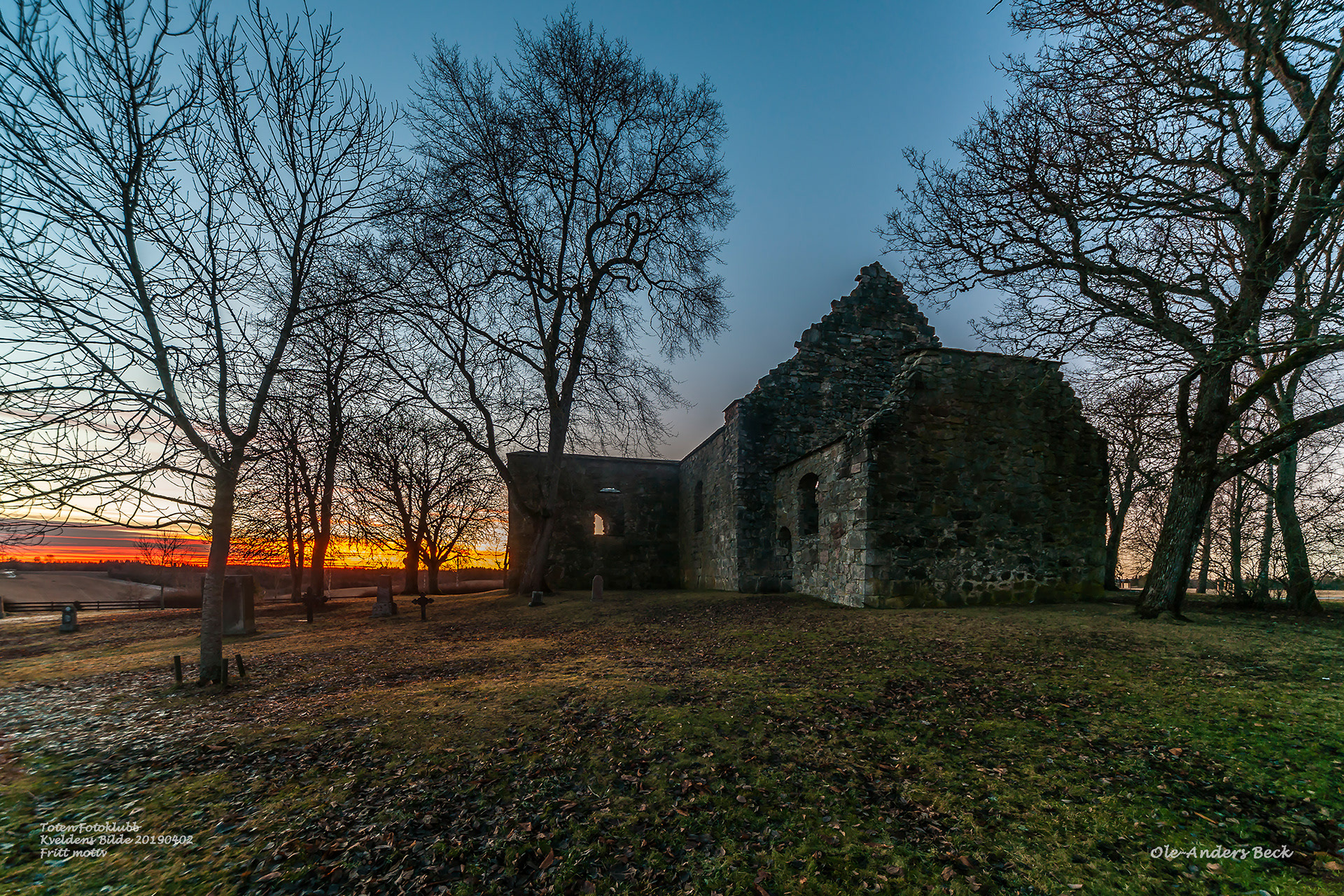 Foto: Ole-Anders Beck - KB20190402 Fritt motiv