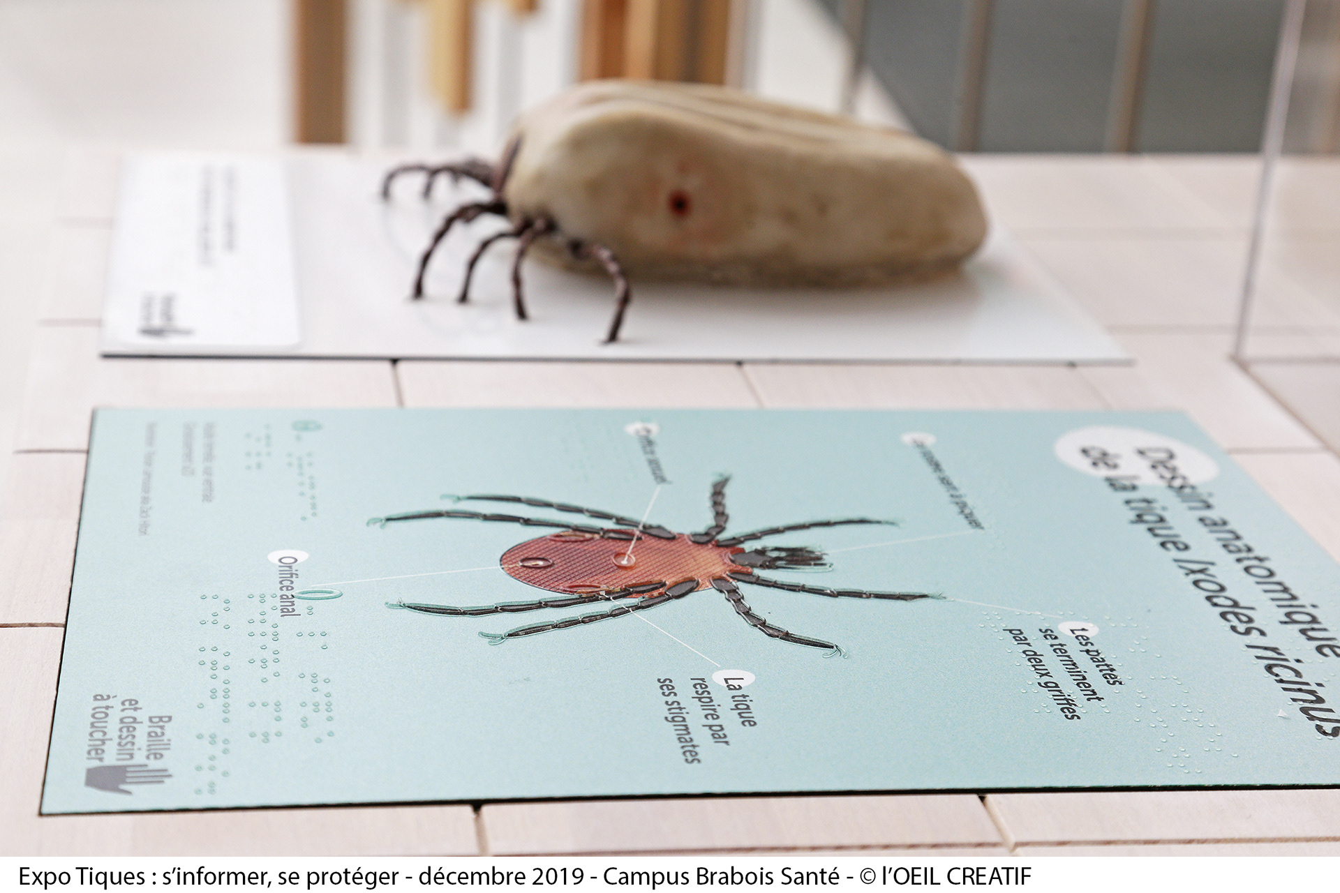 La tique intégrant le dispositif de l'exposition Culture Science, Université de Lorraine à Nantes