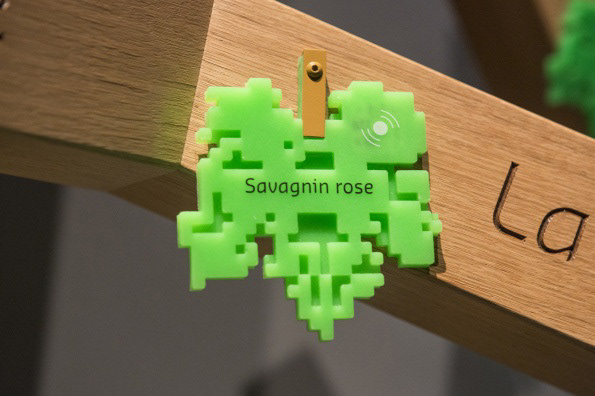 1/70 cépages présentés