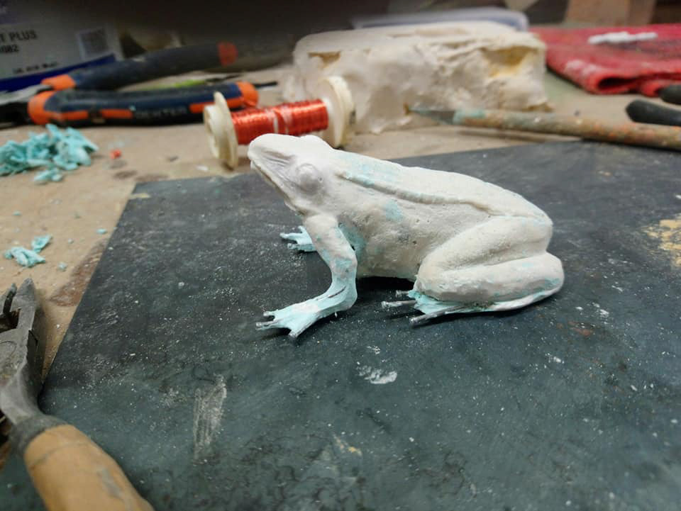La grenouille agile en cours de réalisation