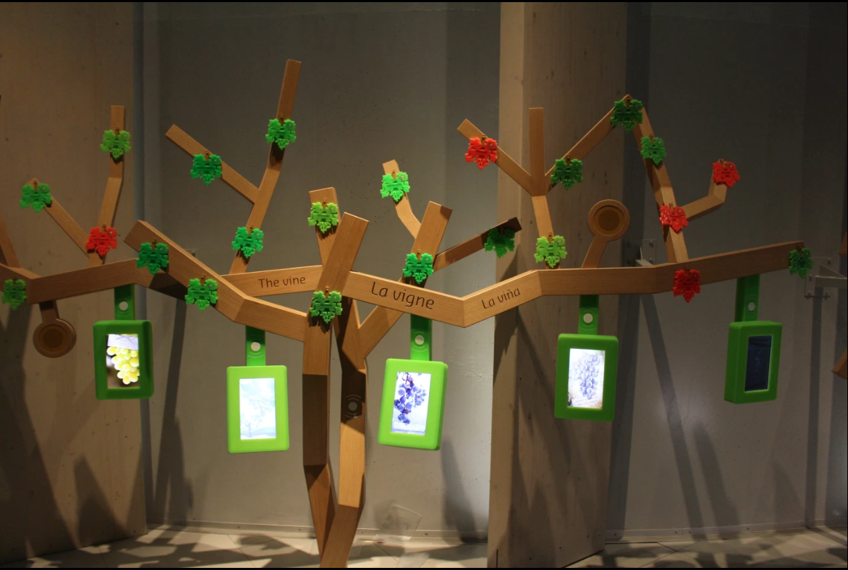 Close-up de la vigne et son interface