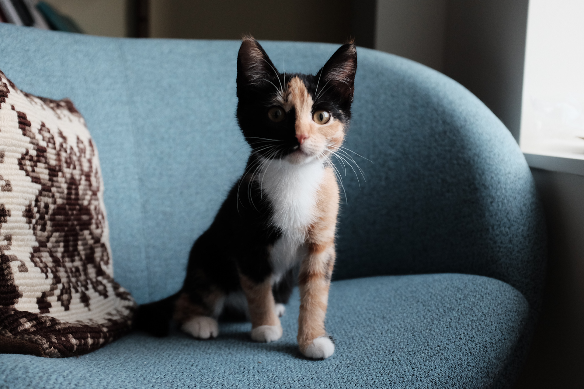 Foto av: Stian Skjelstad