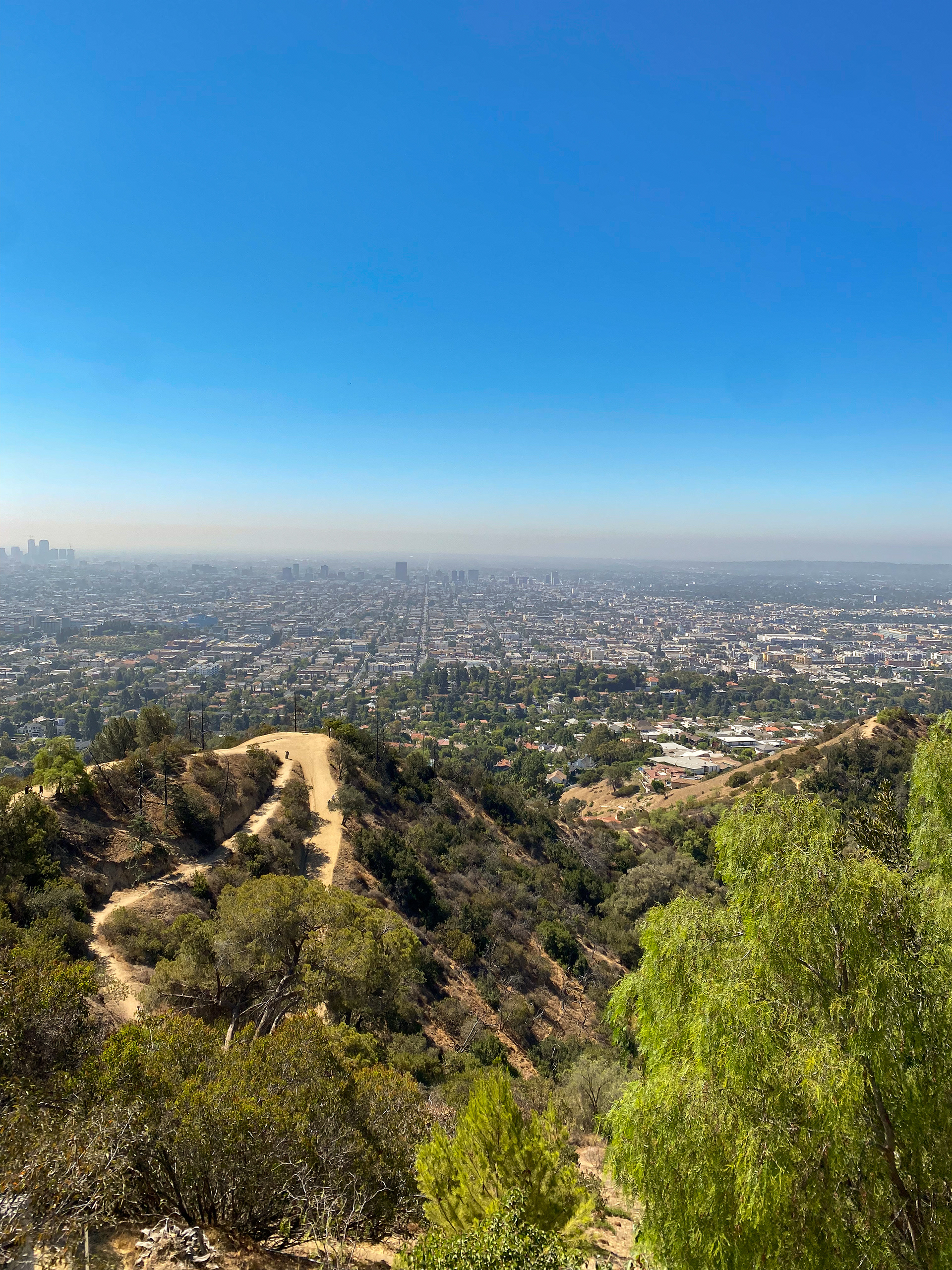 The Overlook. 2021. Griffith Observatory. Los Angeles, CA.