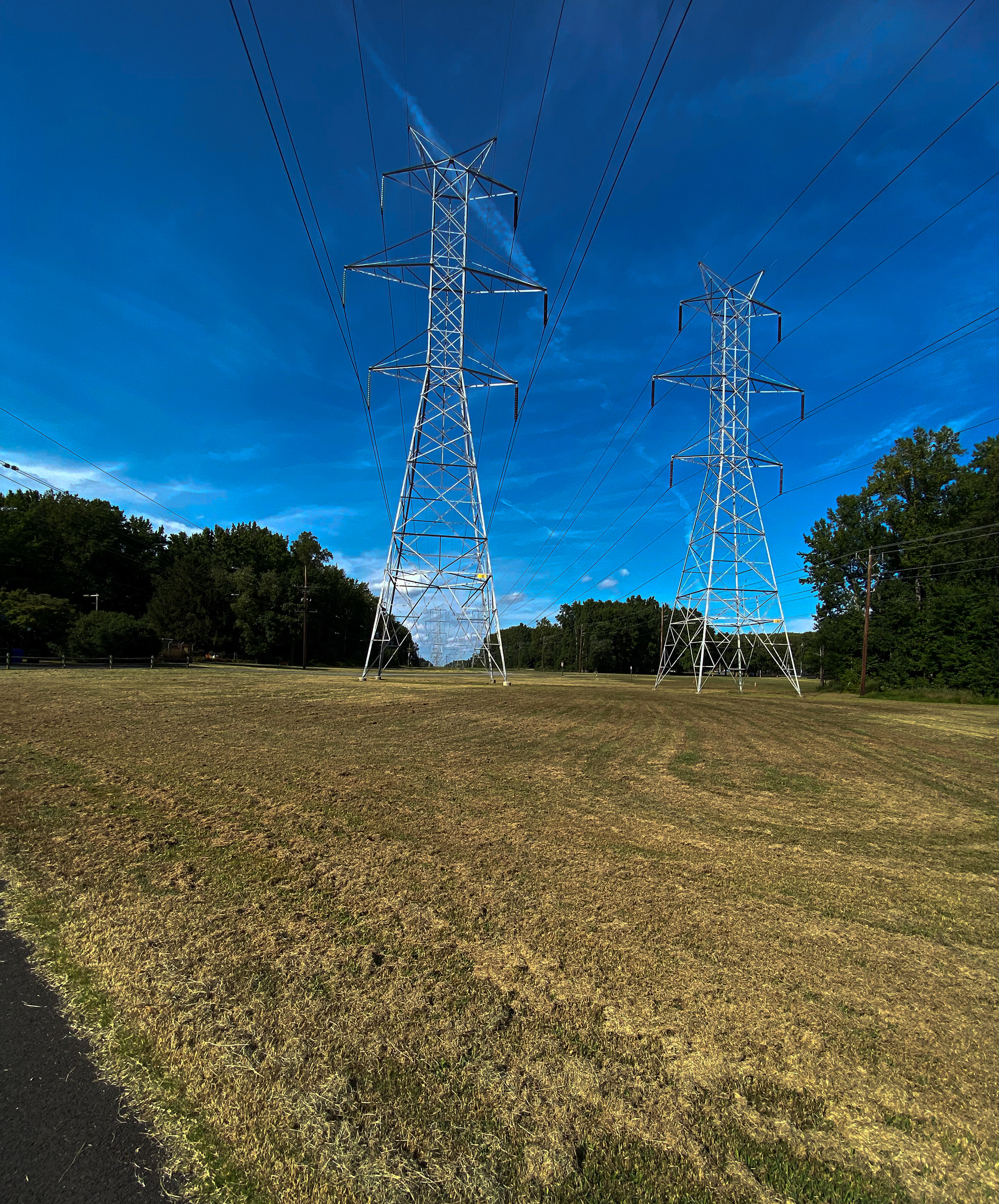 Untitled. 2021. Watkins Regional Park Upper Marlboro, MD.