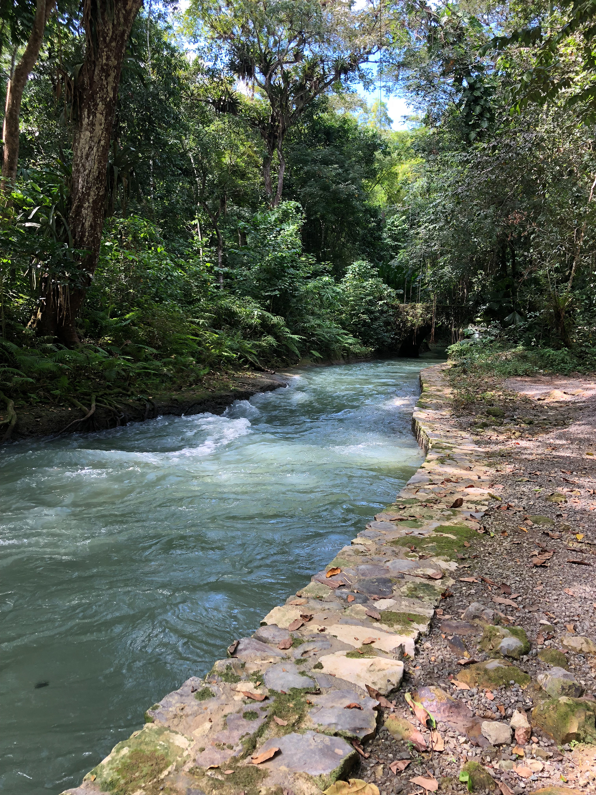 Trelawny. 2021. Trelawny Parrish,  Jamaica.