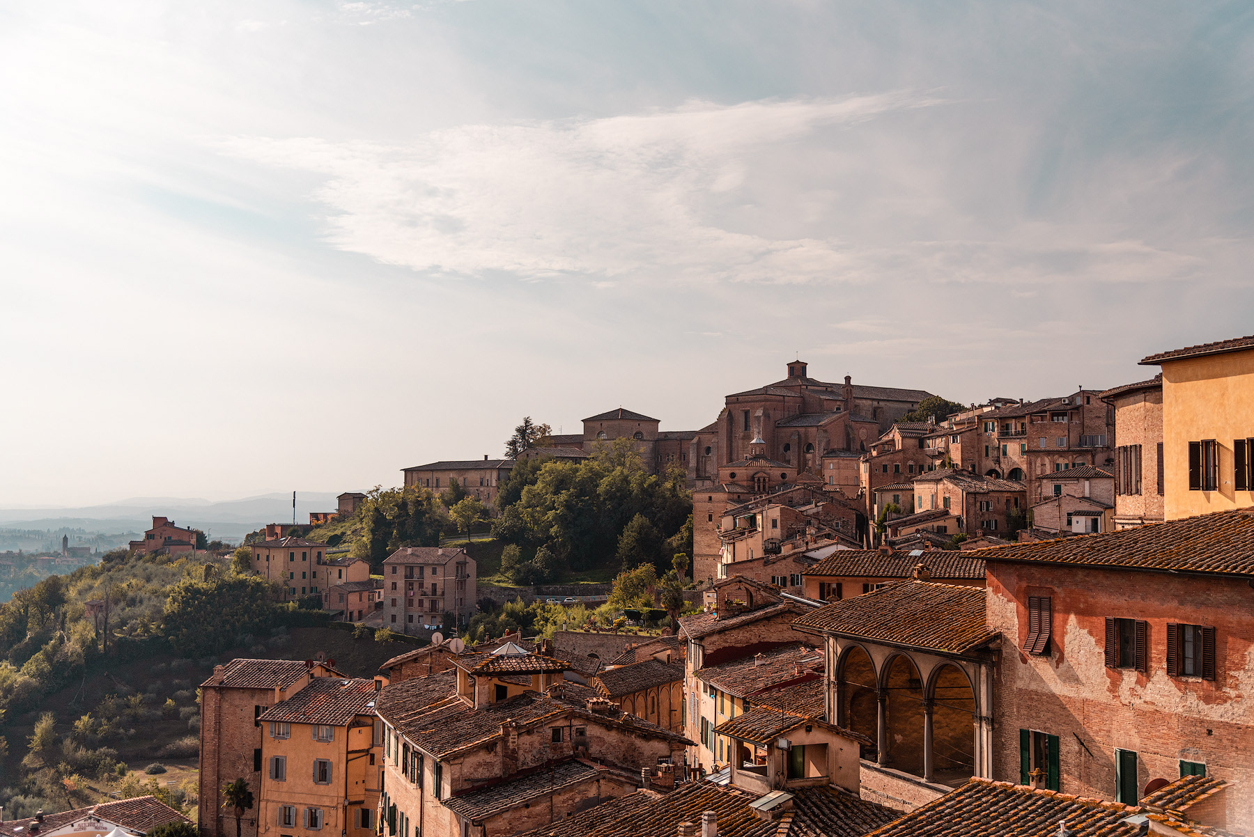 Siena, Italy / 2019