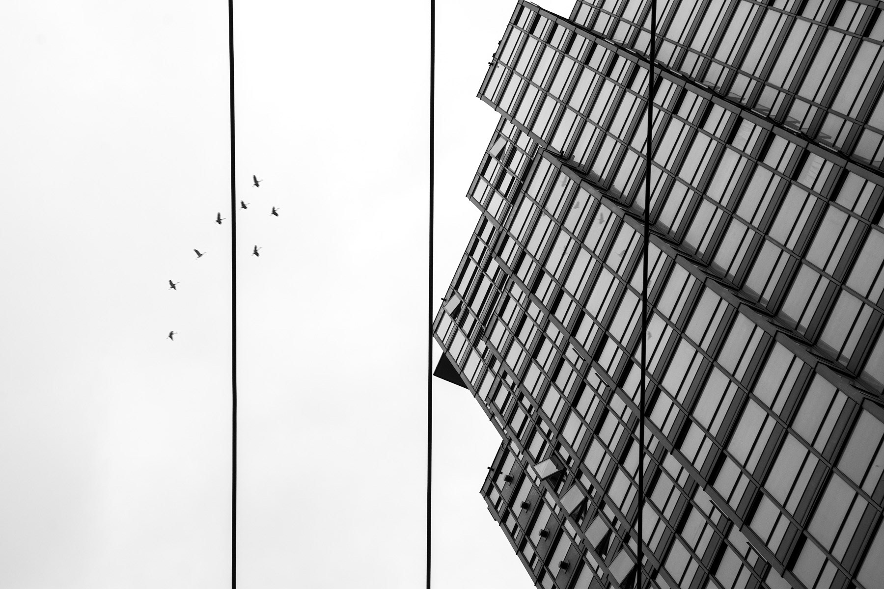 Vancouver, British Columbia, Canada / 2018