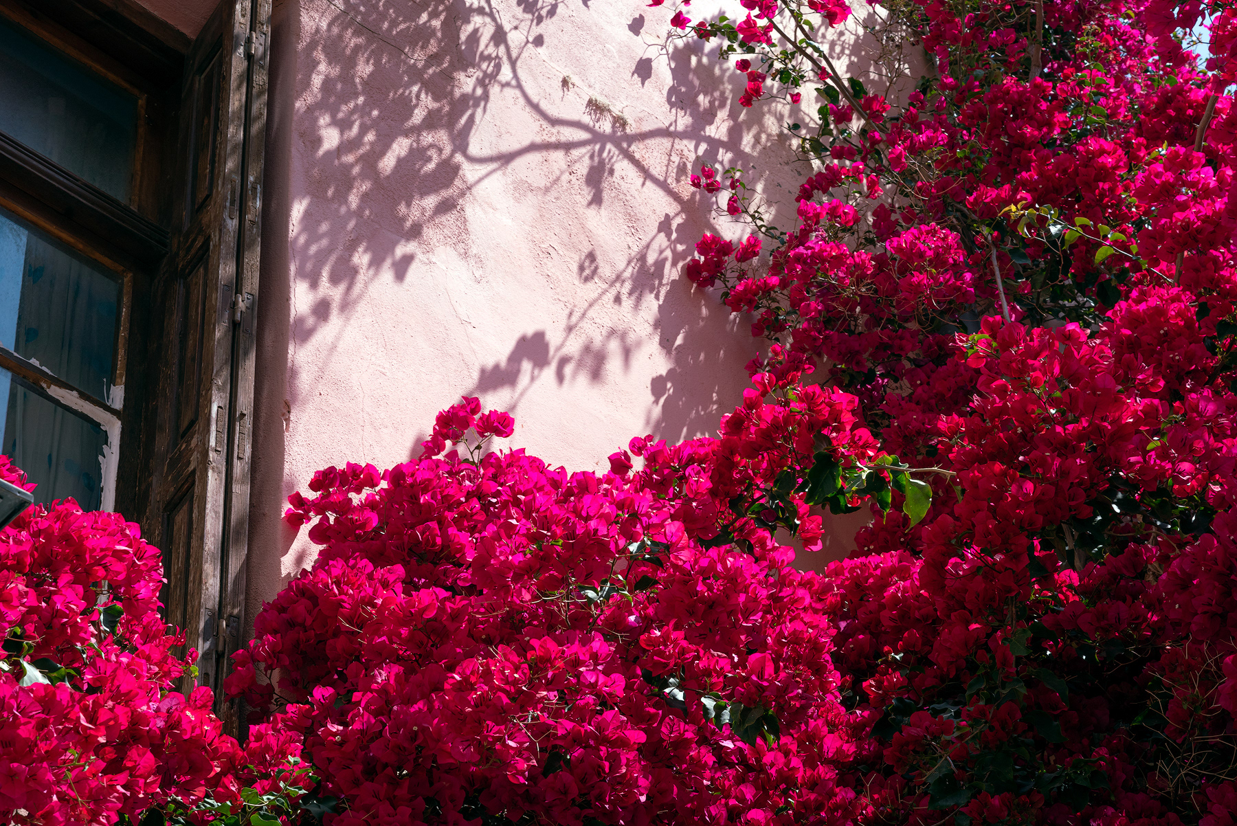 Rethymnon, Crete, Greece / 2023
