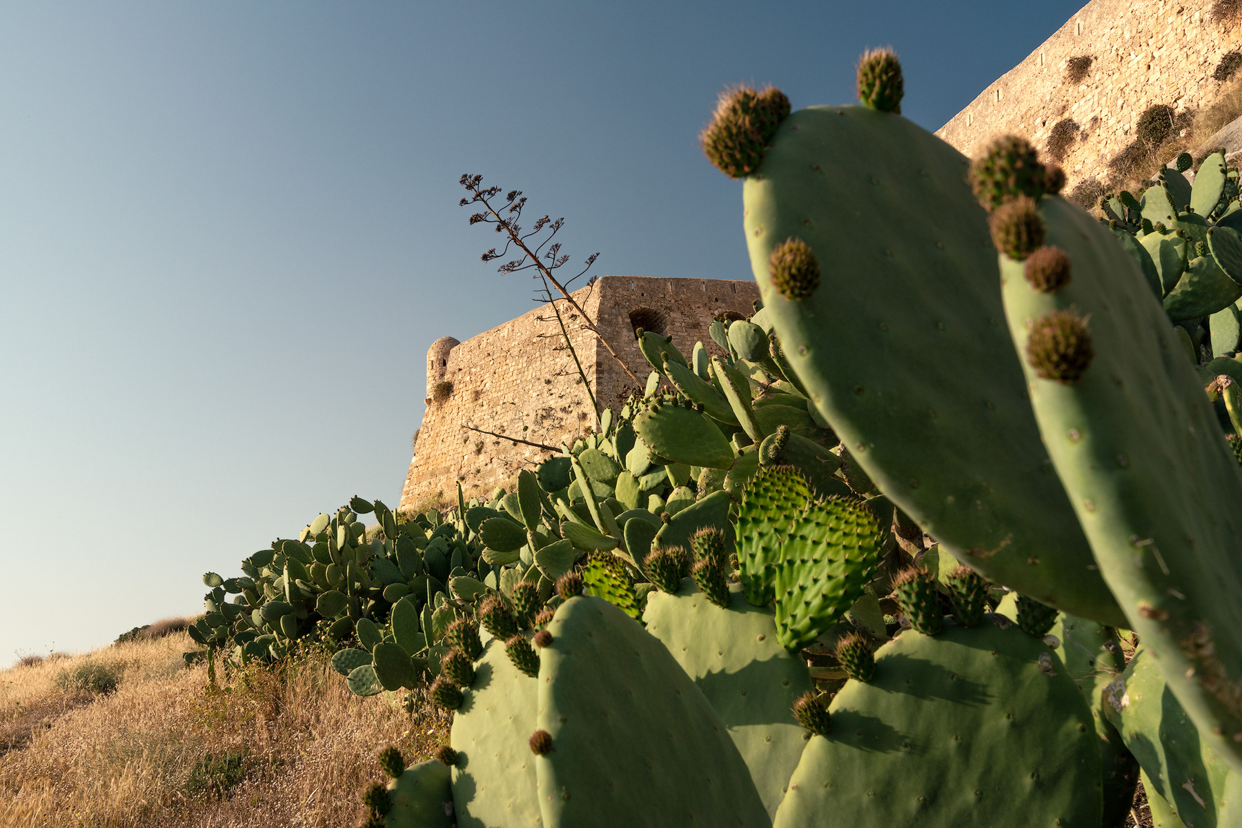 Rethymnon, Crete, Greece / 2023