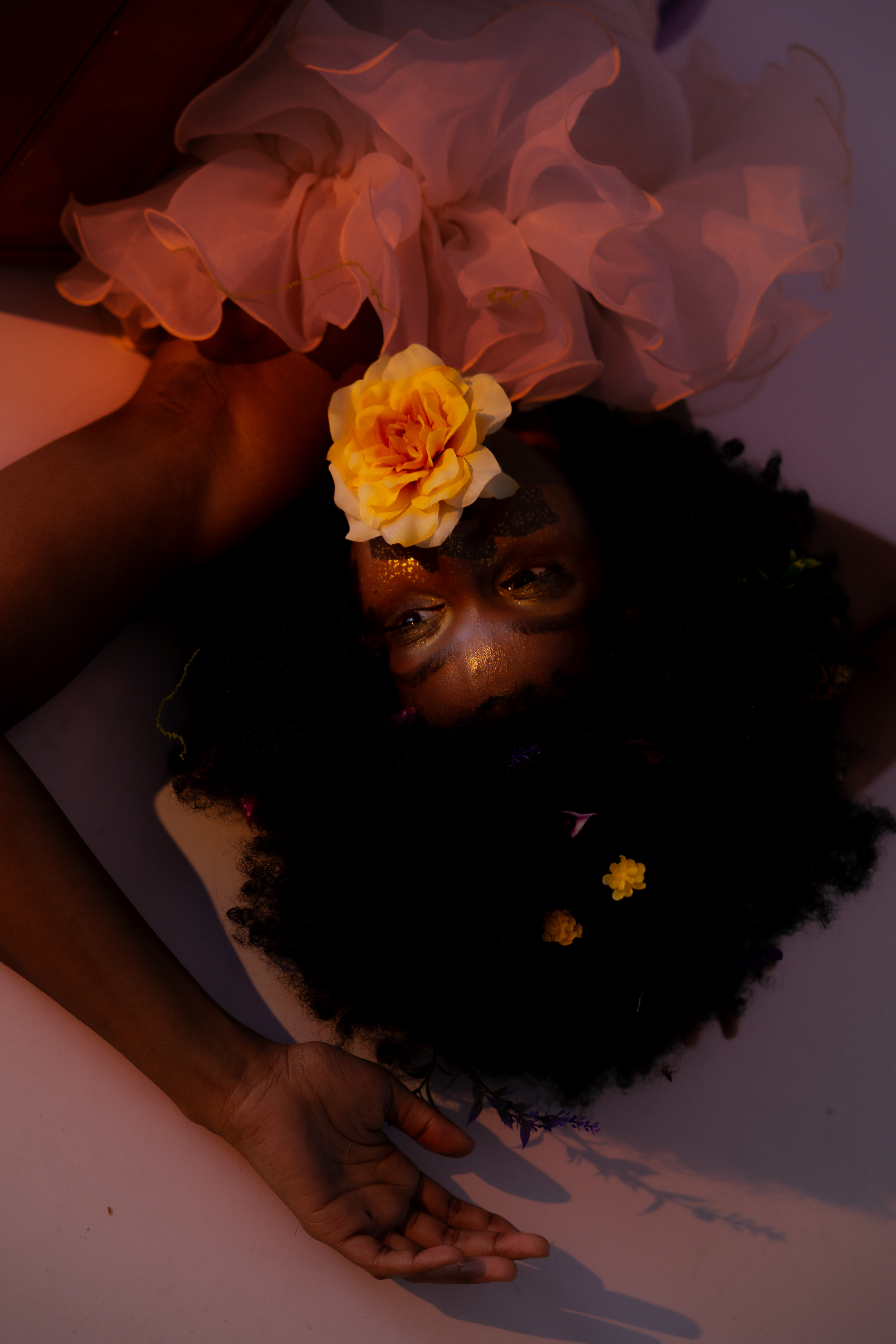 photo: Michelle Donaghy