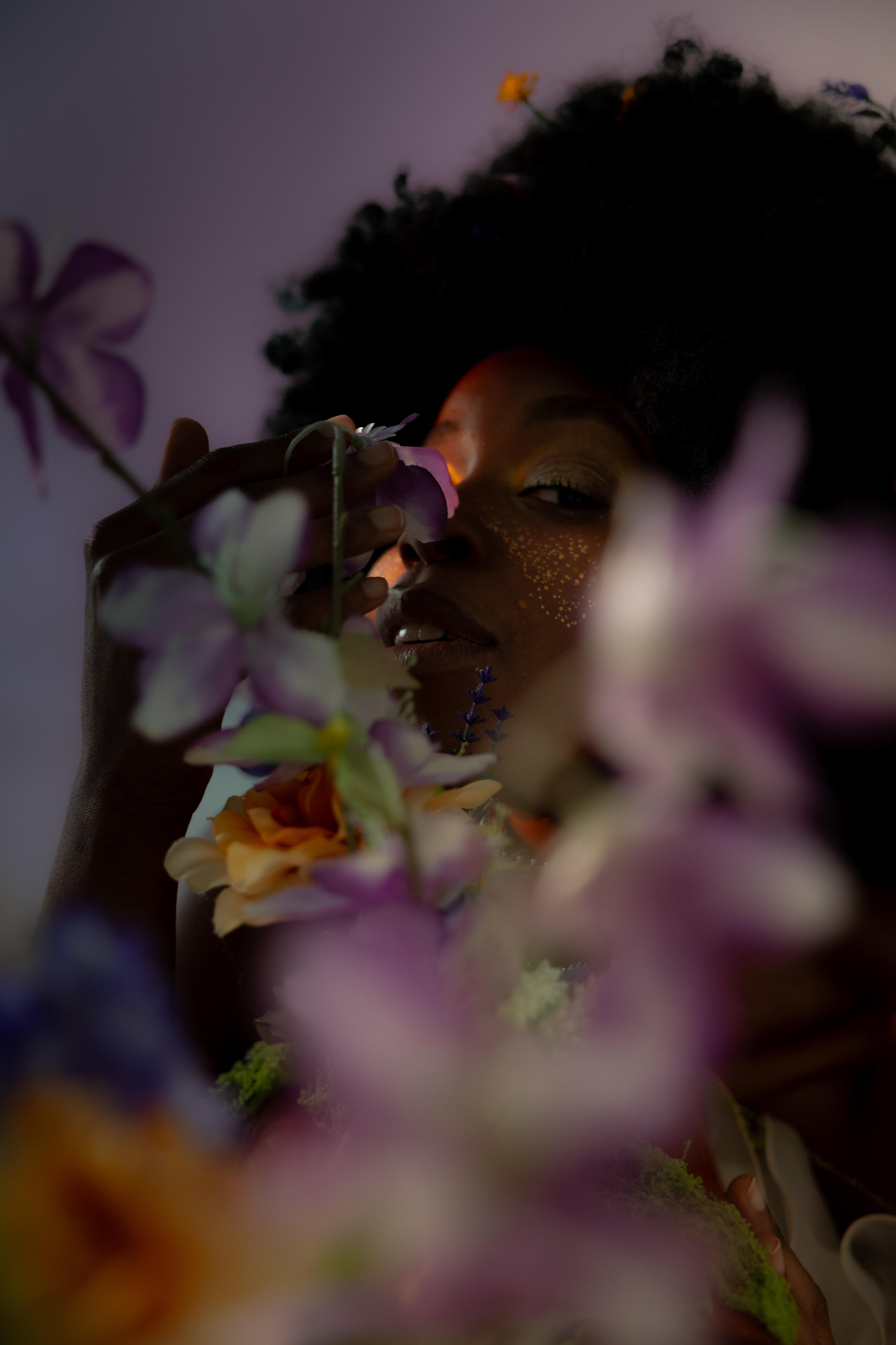 photo: Michelle Donaghy